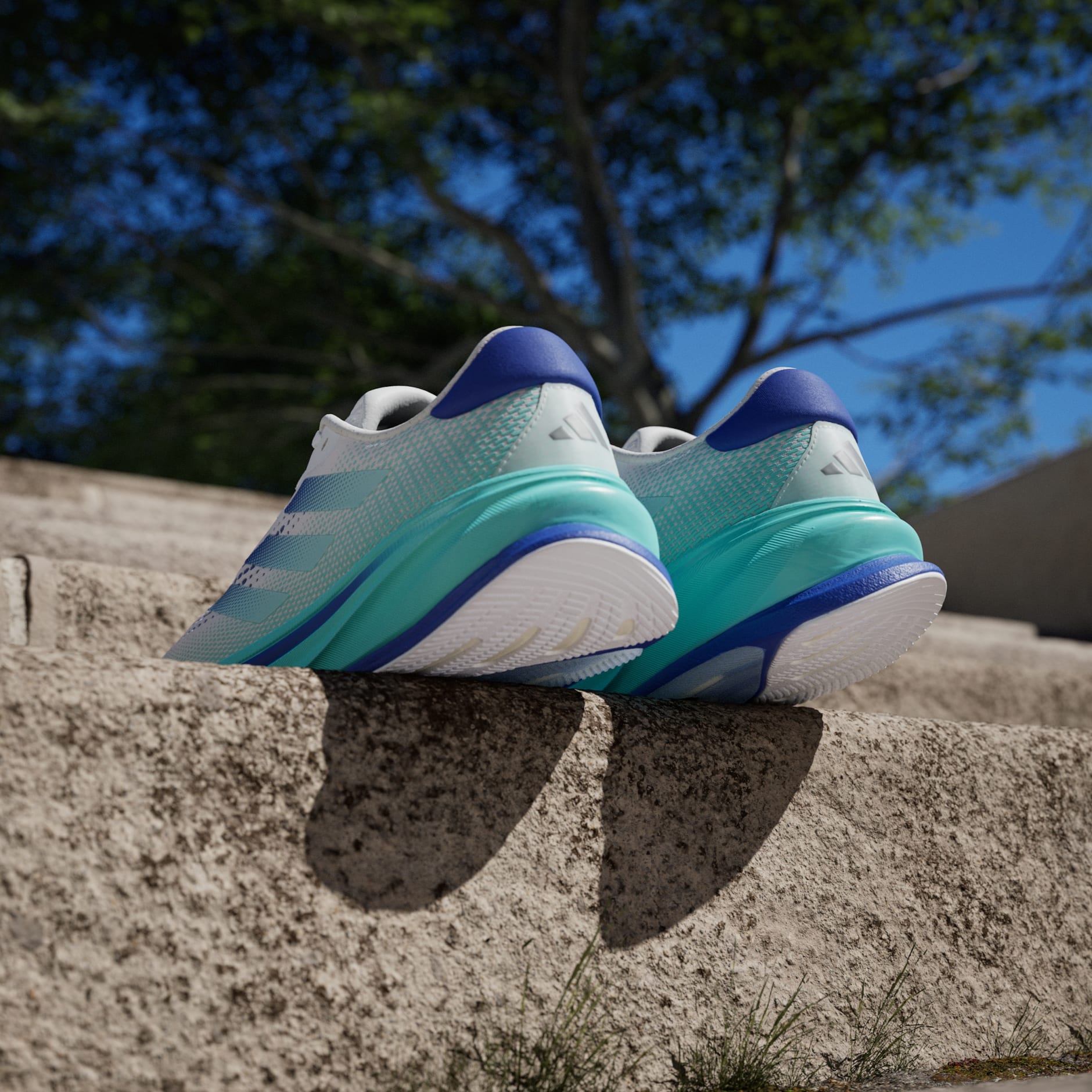 Tenis de Running Supernova Rise