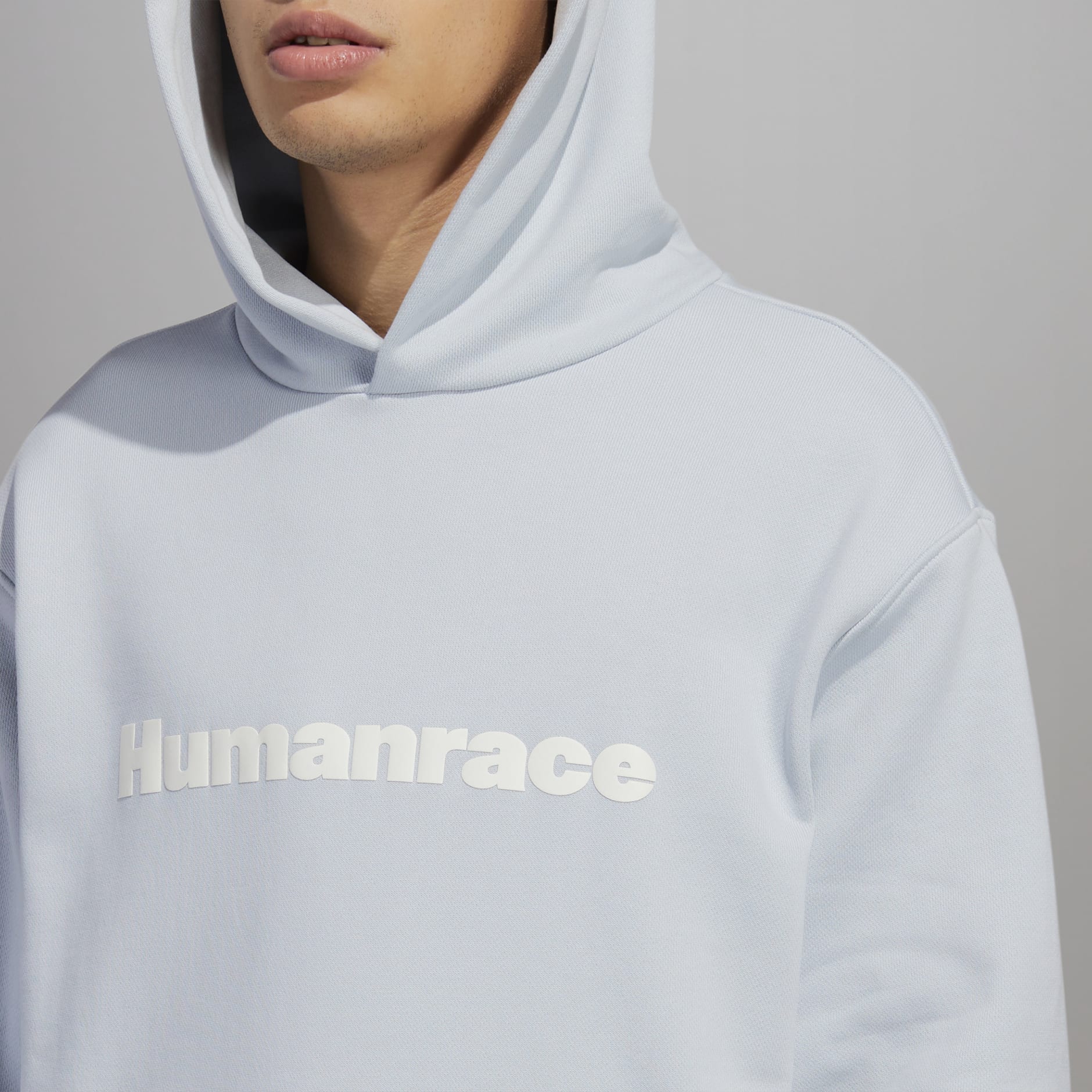 PW BASICS HOOD