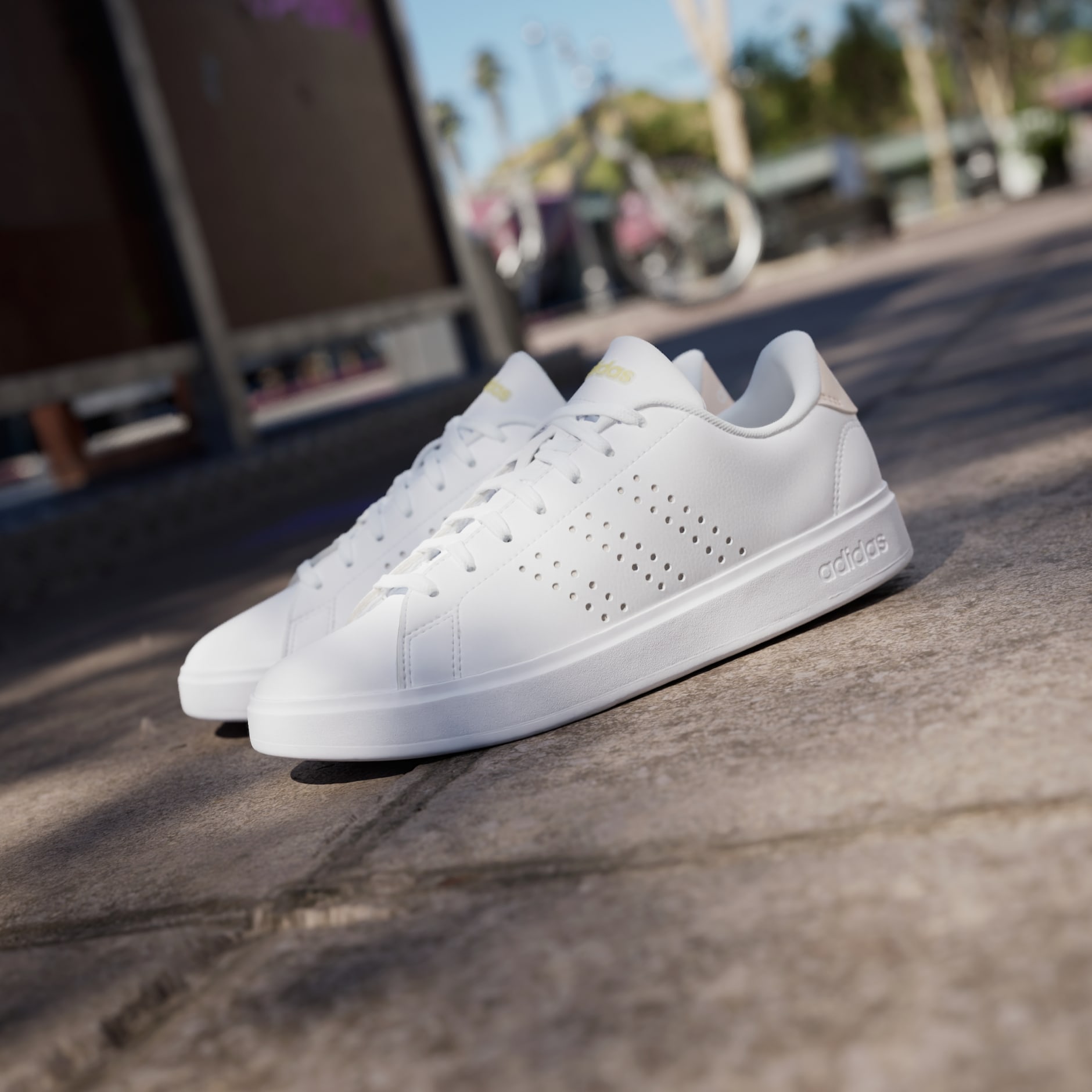 Adidas neo advantage white on sale