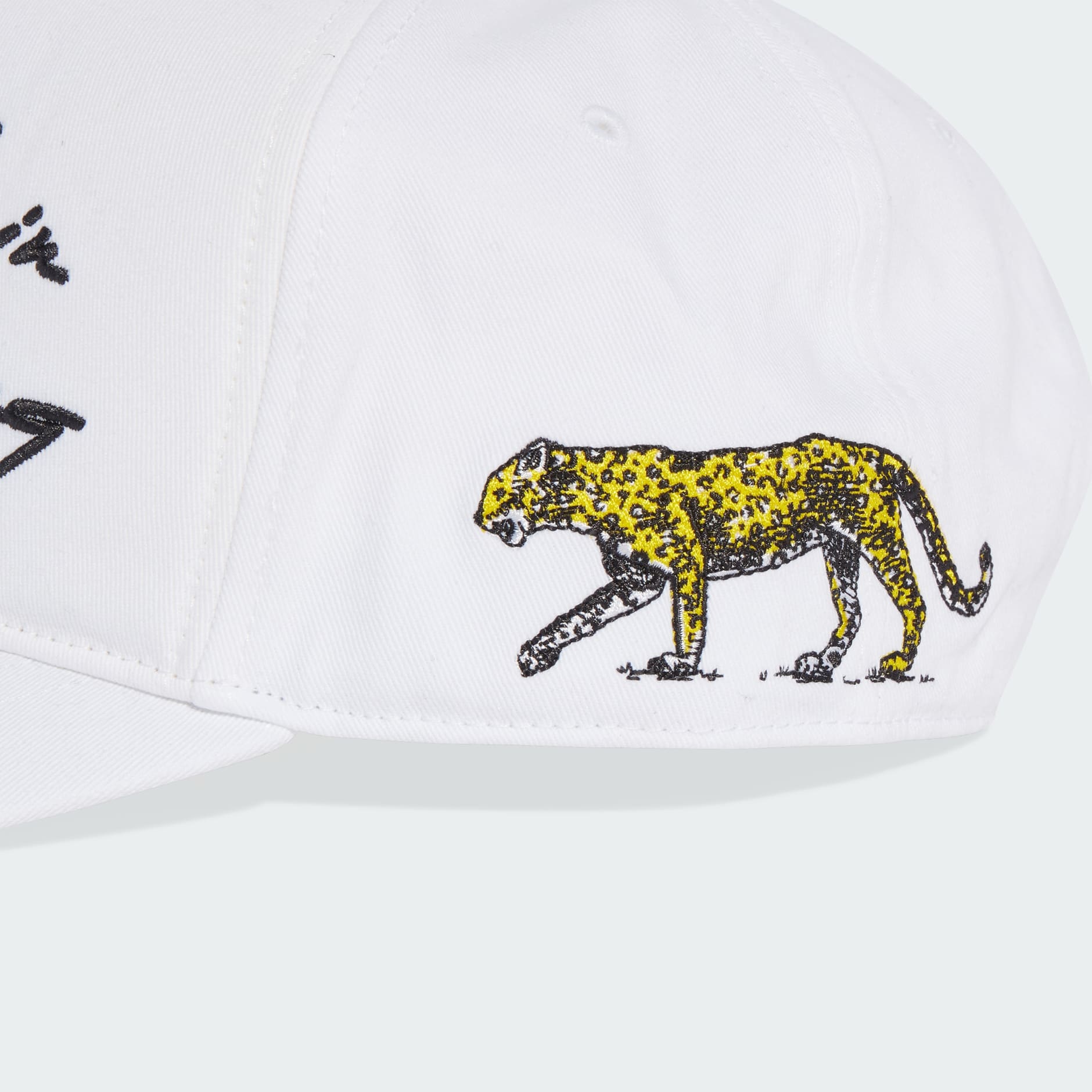 Graphic Cap