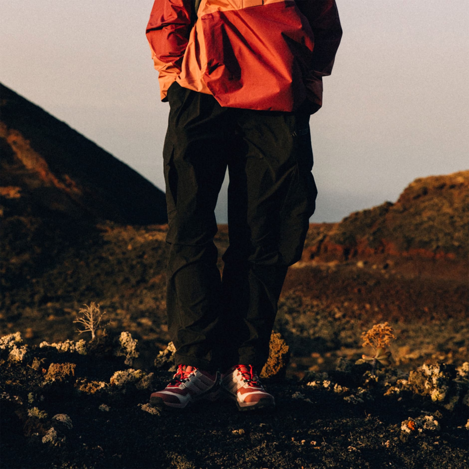 Terrex Xploric Cargo Pants Printed