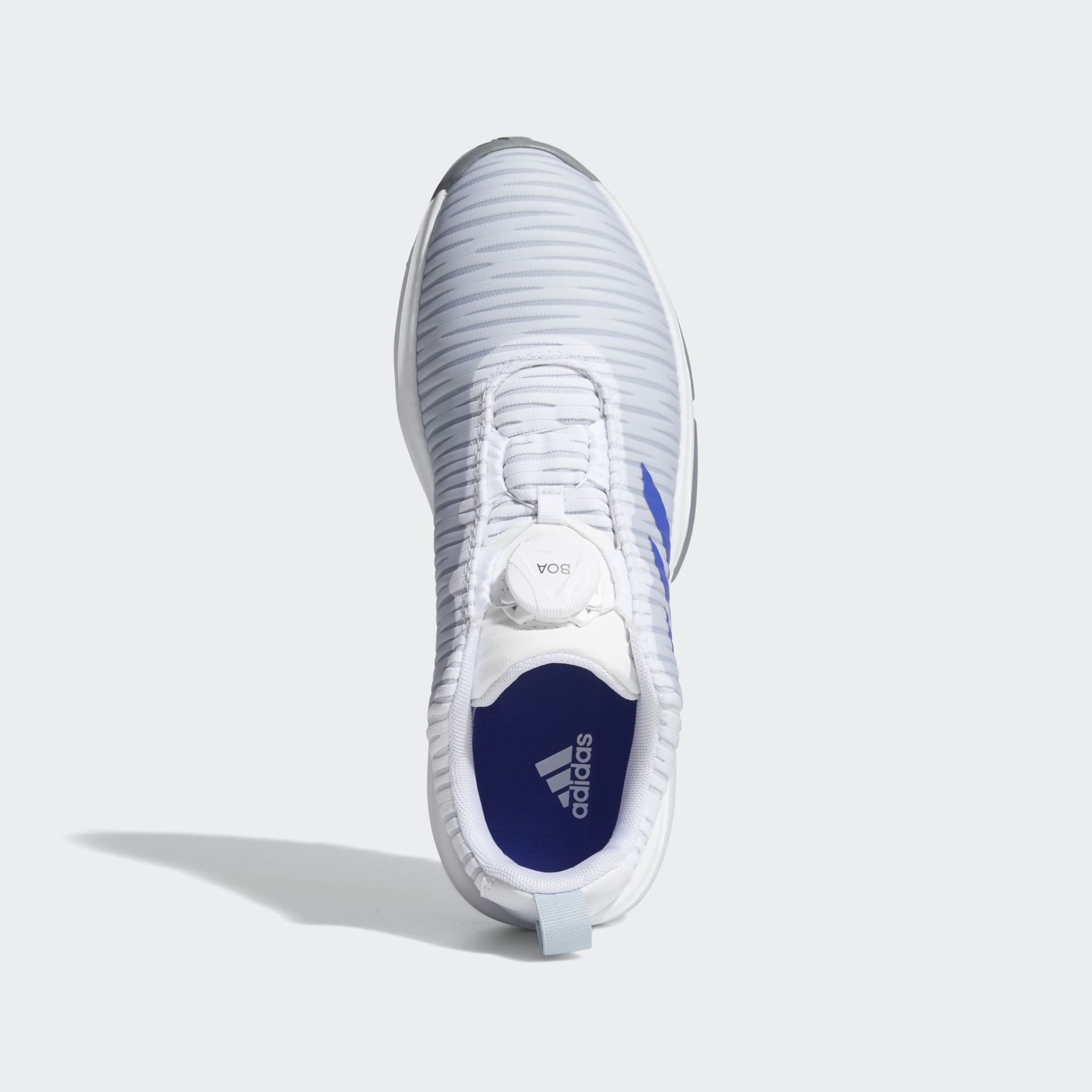 CodeChaos Boa Golf Shoes