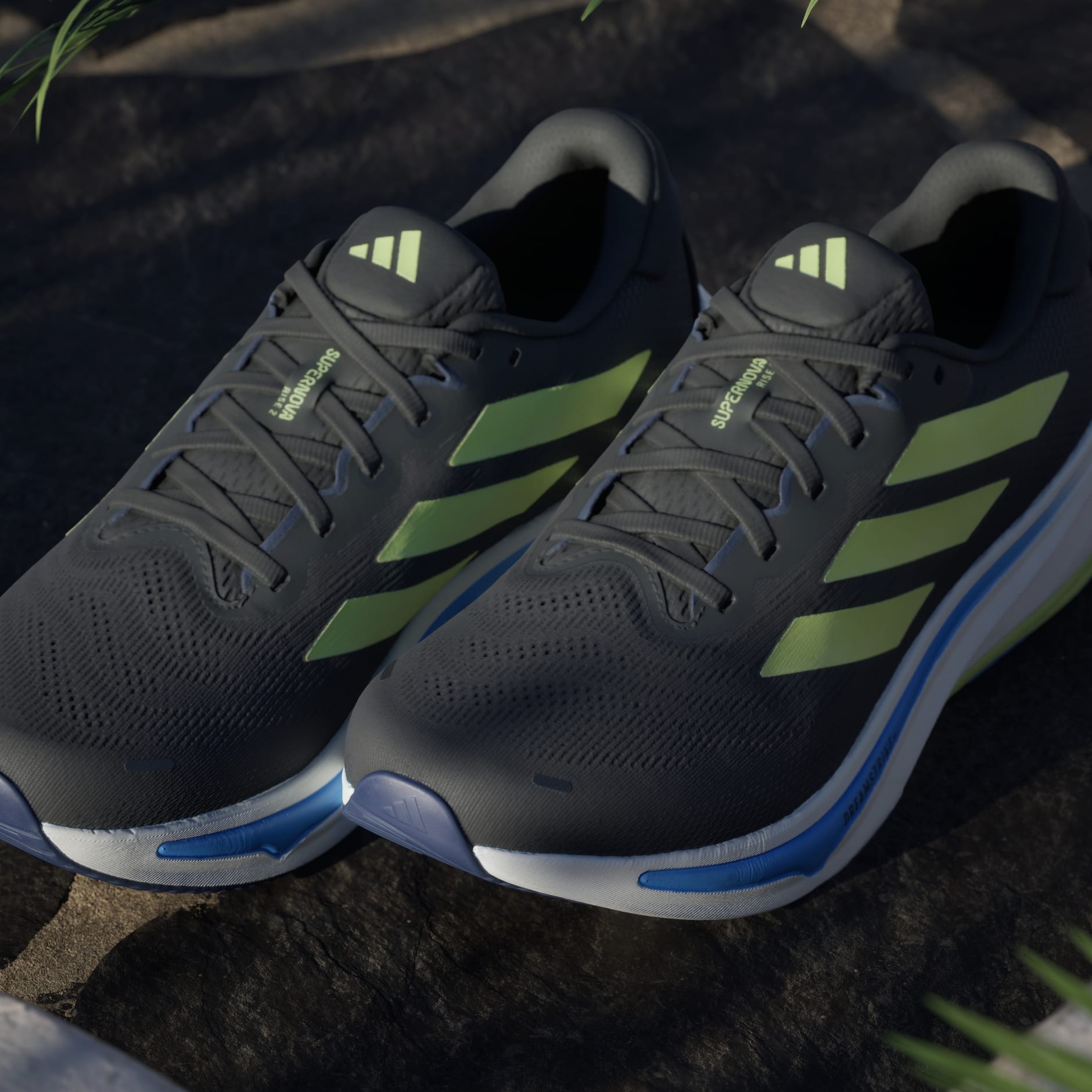 Chaussure de running Supernova Rise 2