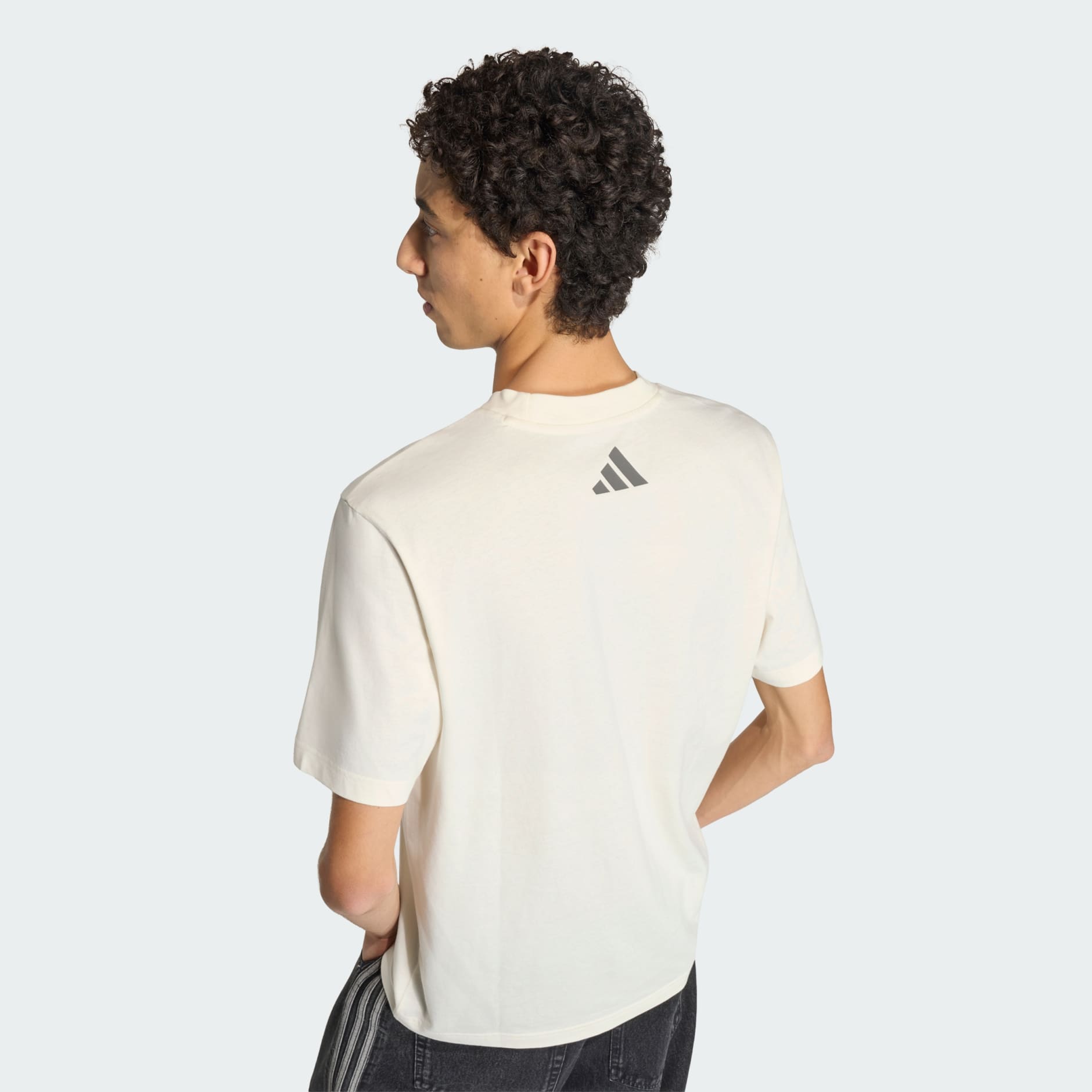 MERCEDES - AMG PETRONAS FORMULA 1 TEAM SILVER ARROWS TEE 01 MEN