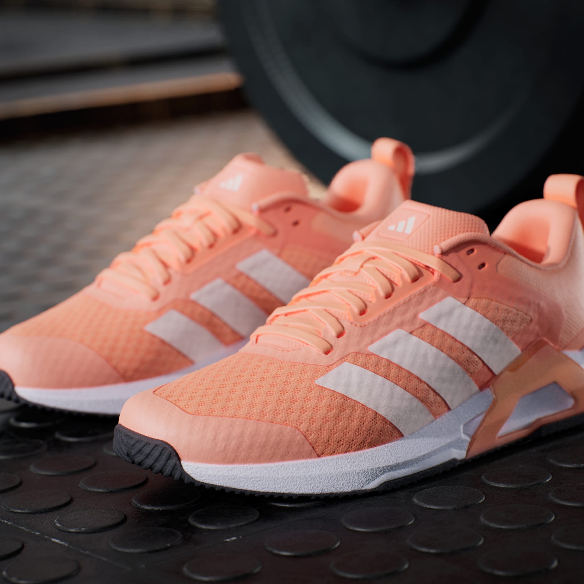 حذاء Dropset Control Training