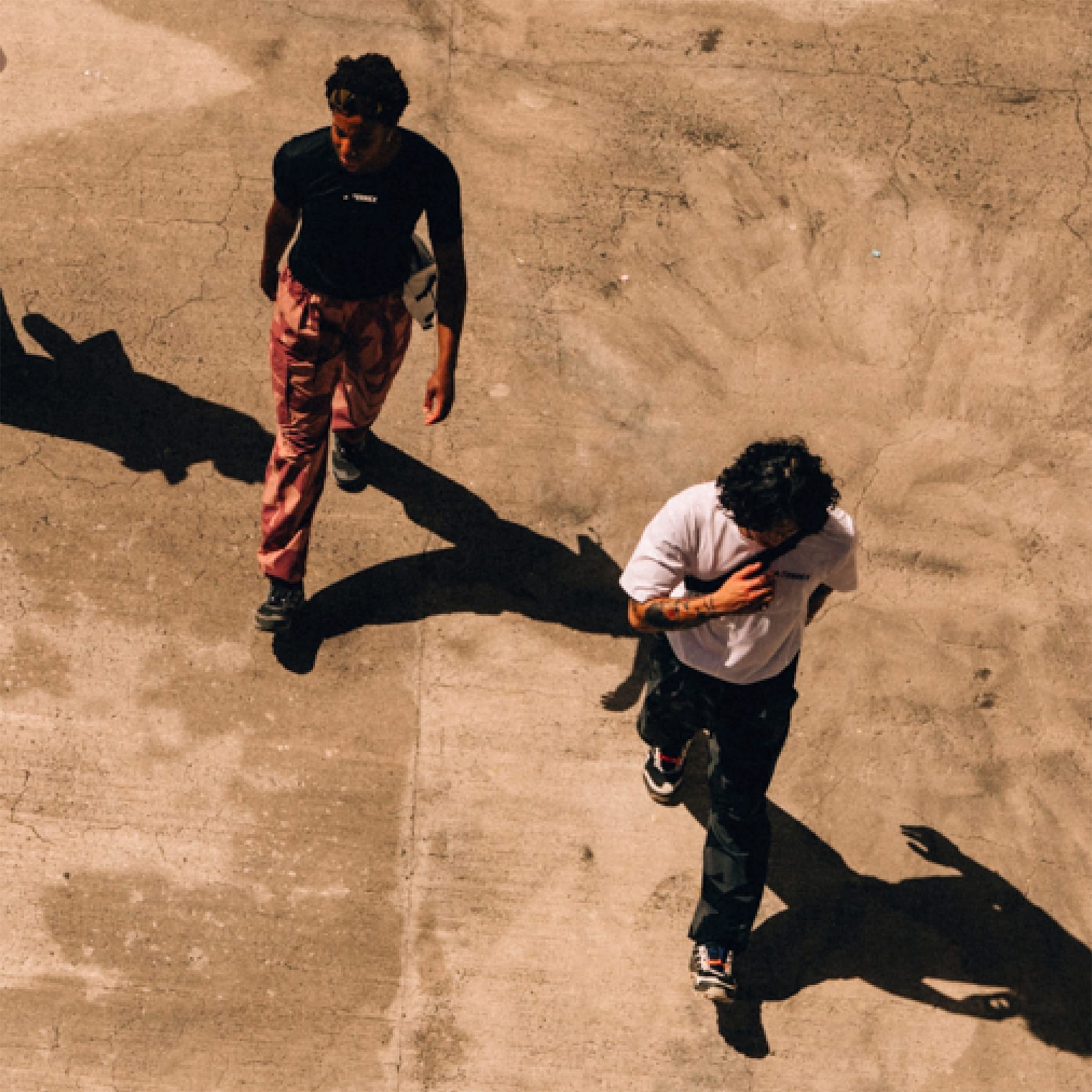 Terrex Xploric Cargo Pants Printed