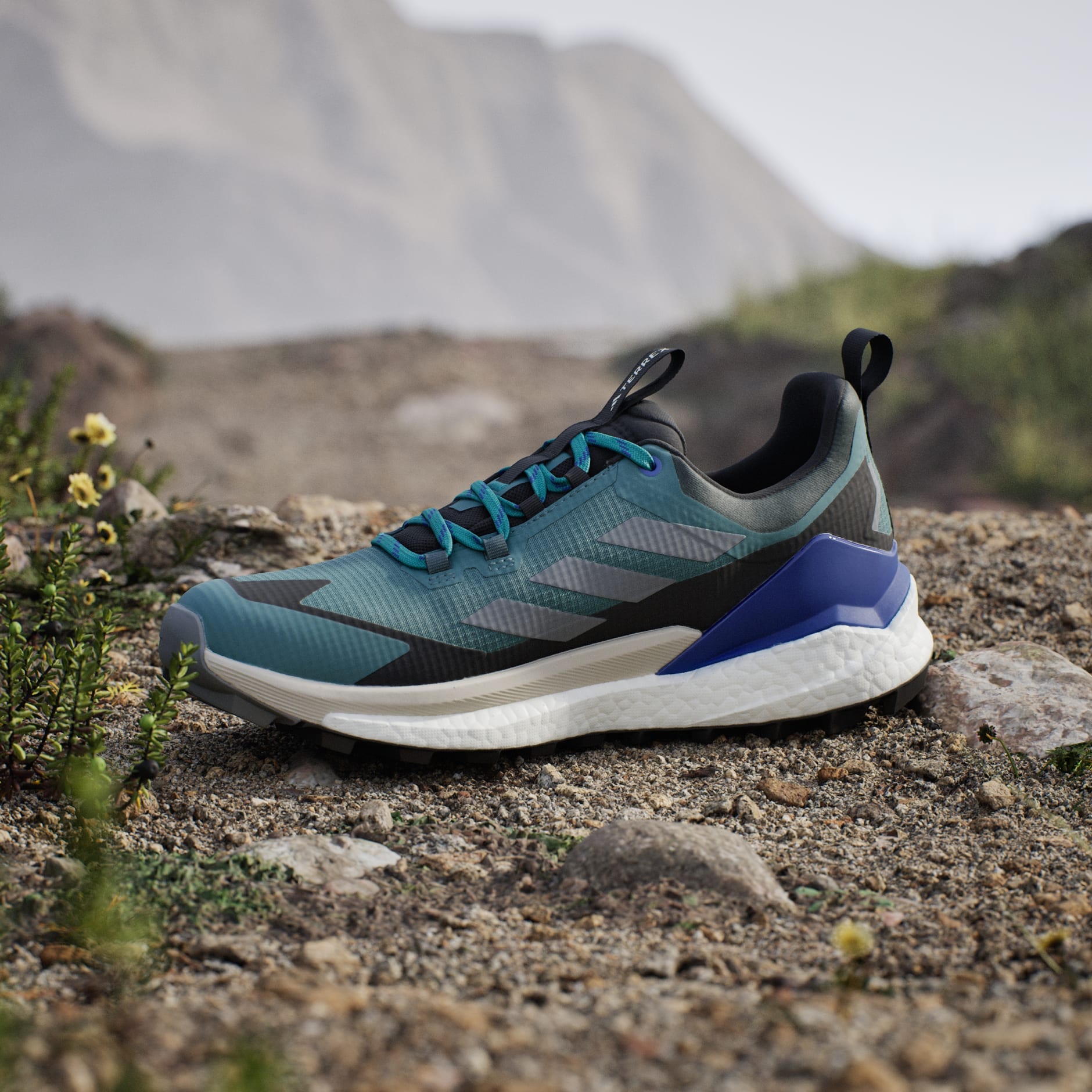 حذاء Terrex Free Hiker 2.0 Low Gore-Tex للمشي لمسافات طويلة