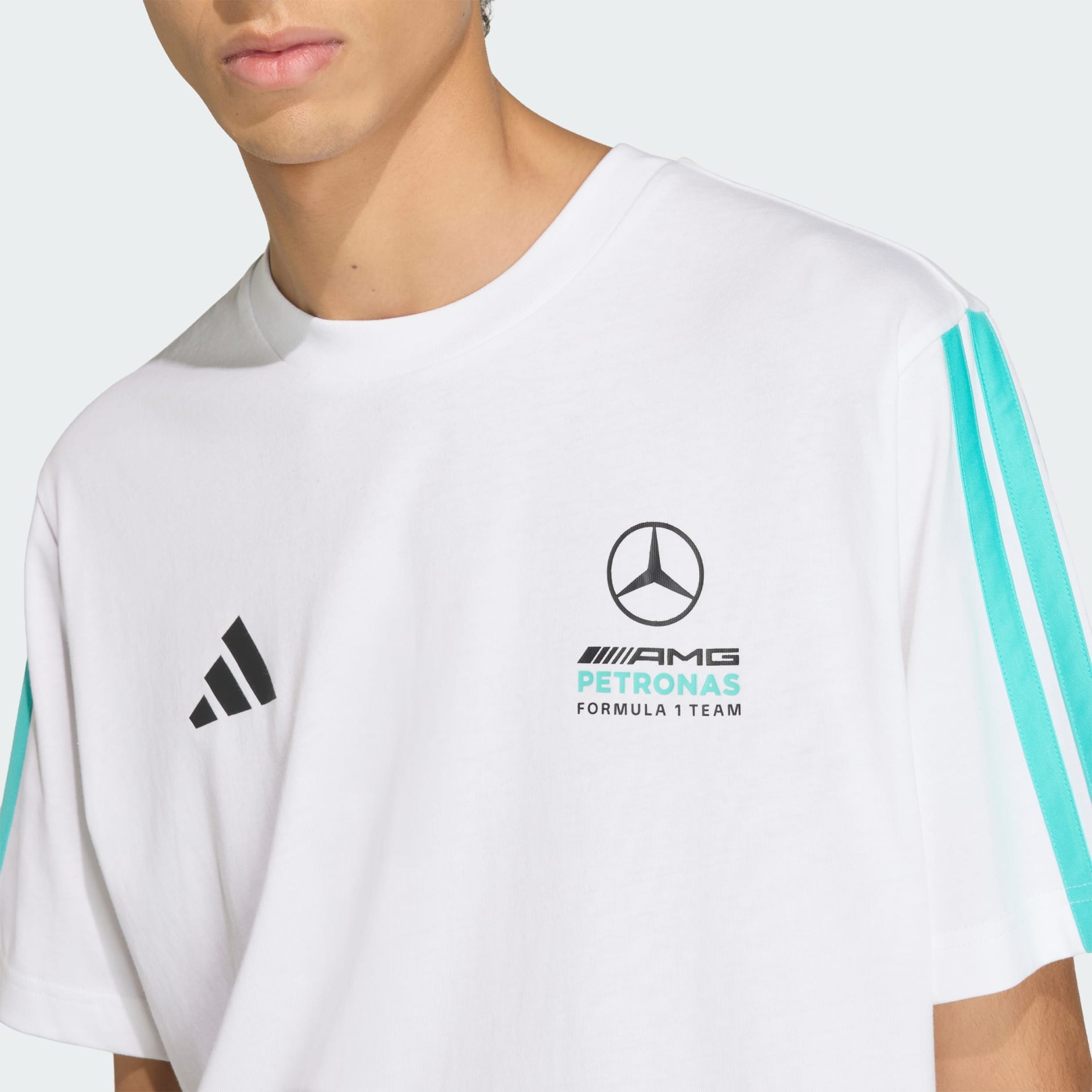 MERCEDES - AMG PETRONAS FORMULA 1 TEAM DNA TEE