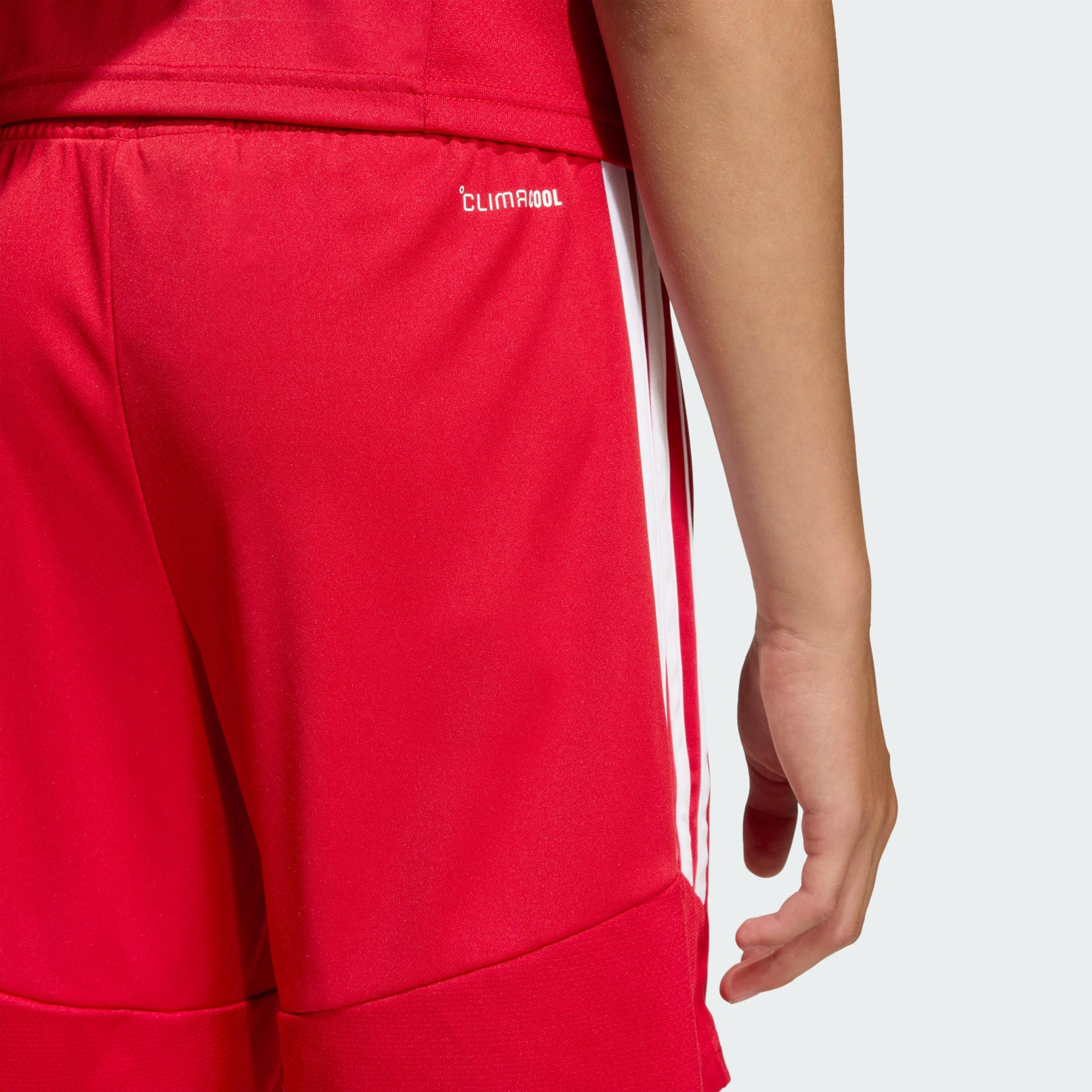 Tiro26 League Kids Shorts