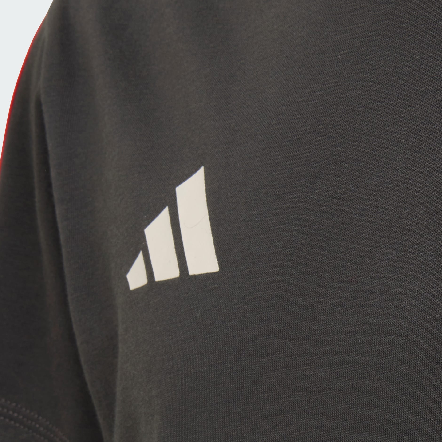 TRICOU AUDI FORMULA ONE TEAM DNA