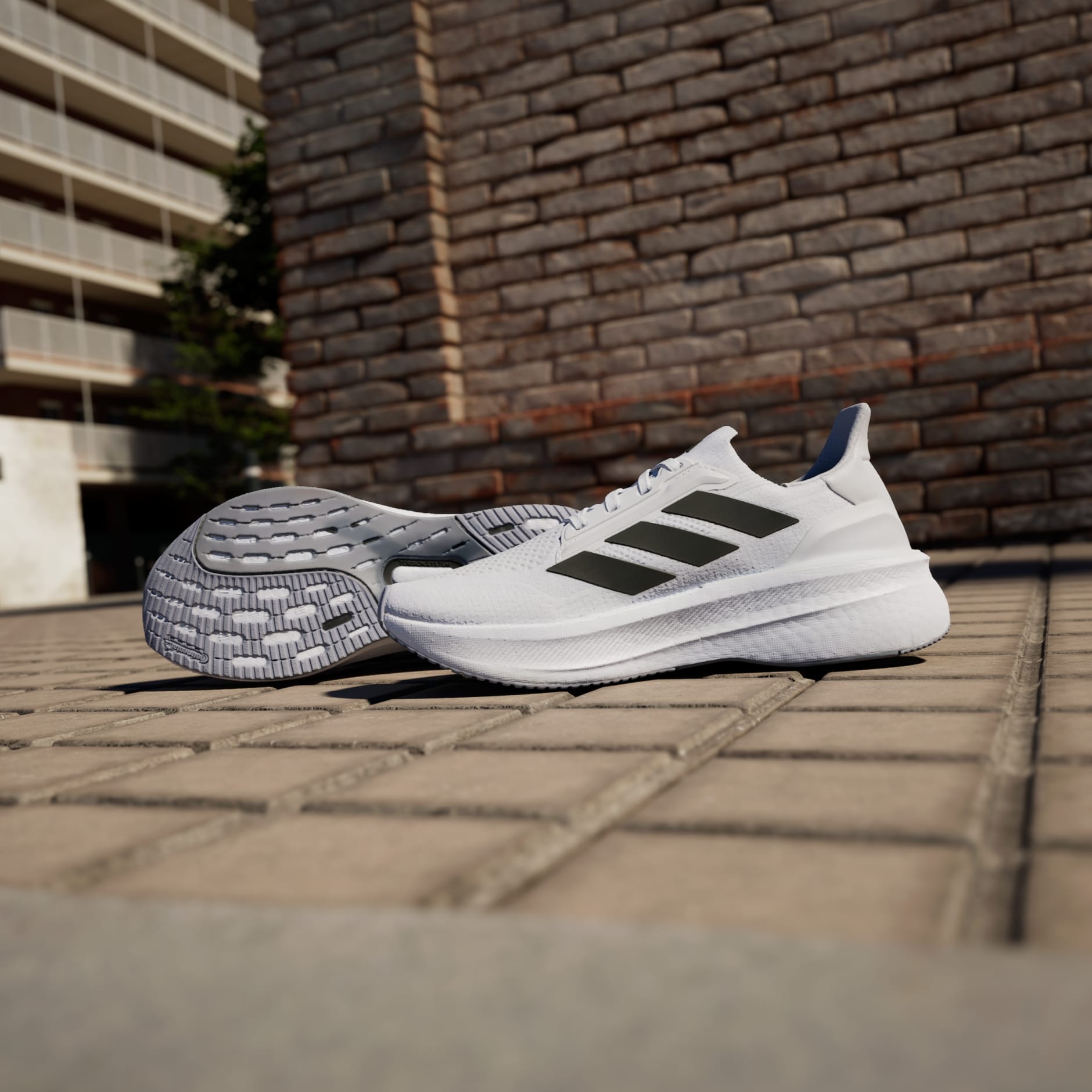 Adidas shoes 2019 price qatar hotsell