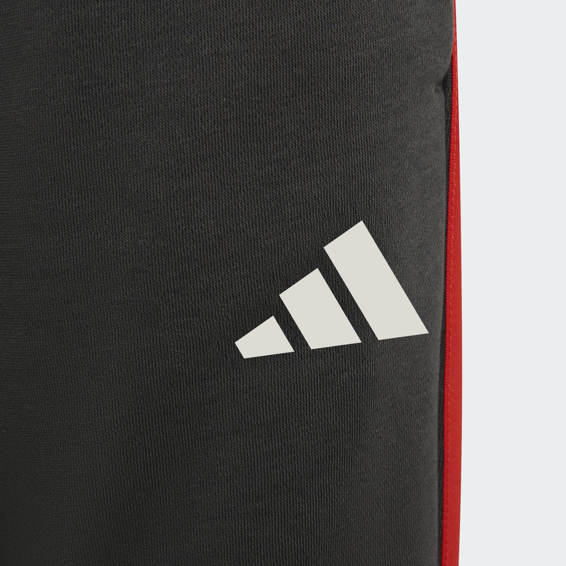 HLAČE AUDI REVOLUT F1 TEAM DNA