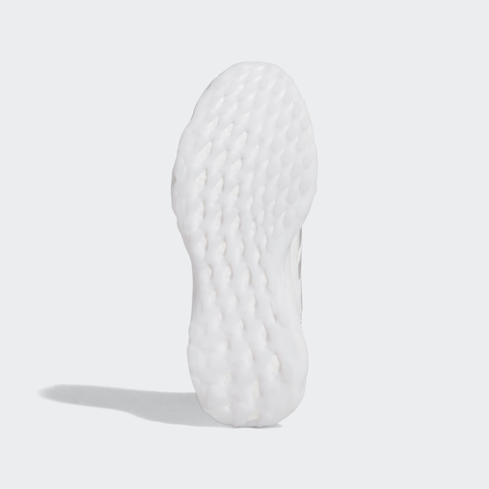 Tenis Web Boost