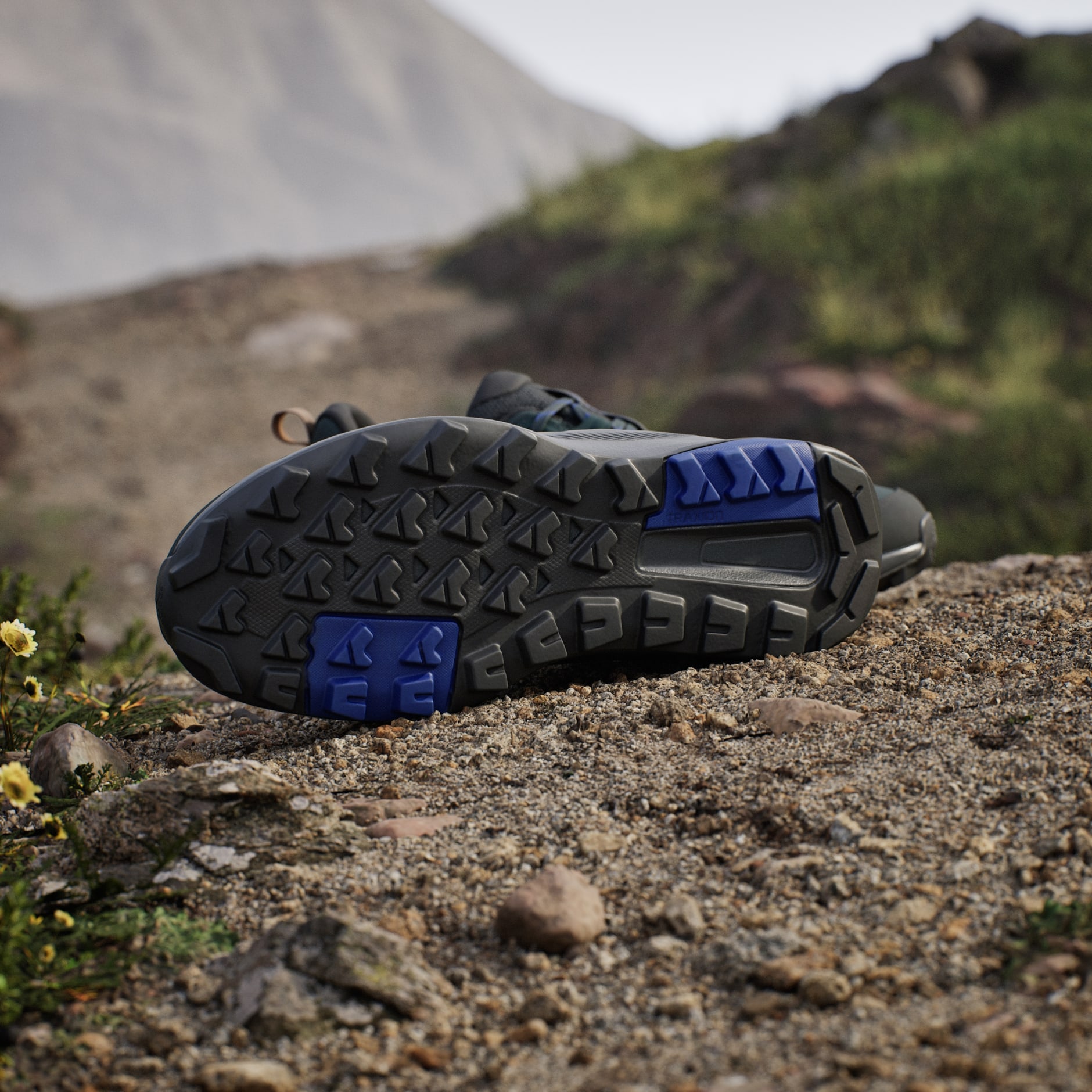 Pantofi de drumeție Terrex Anylander