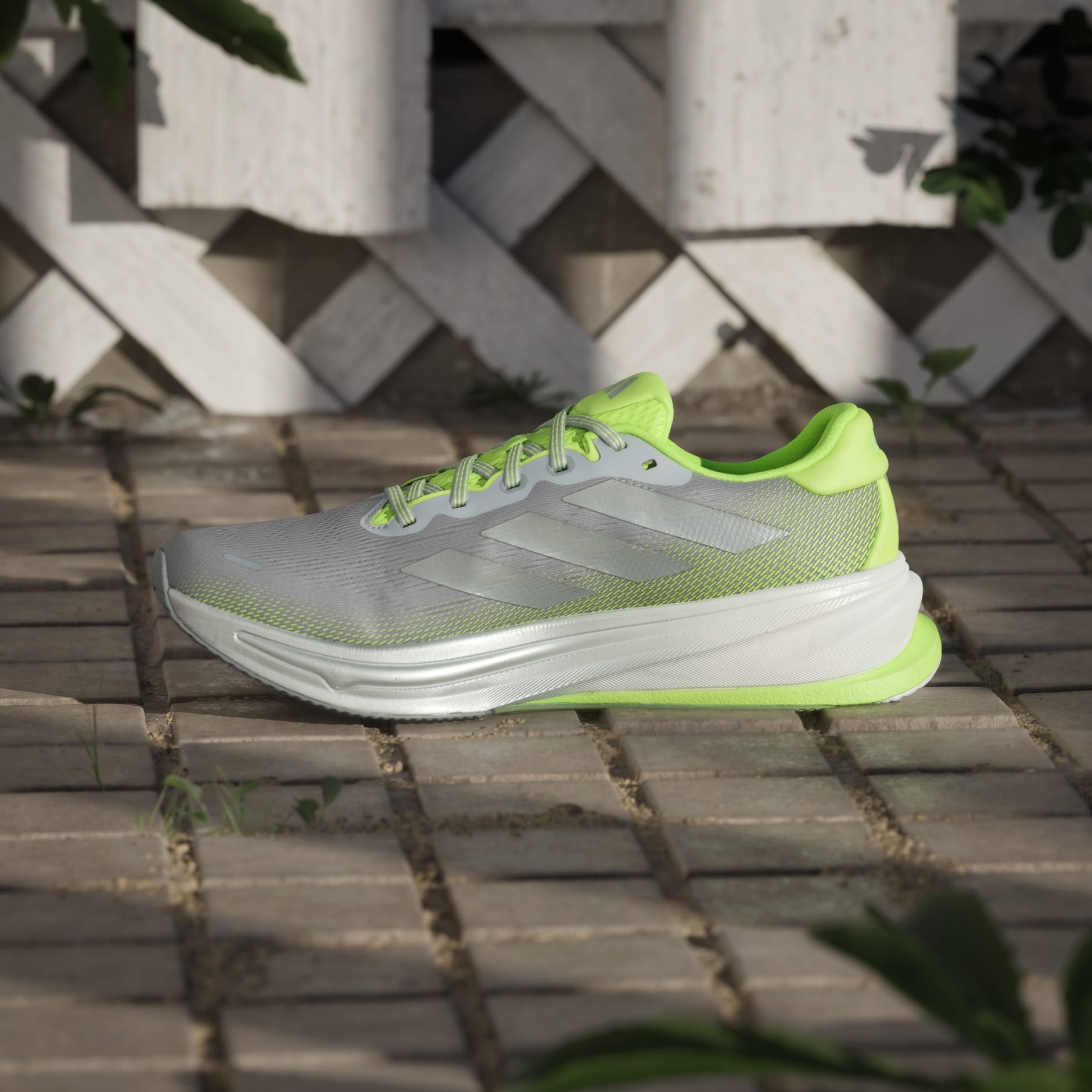 Pantofi de alergare Supernova Rise 2