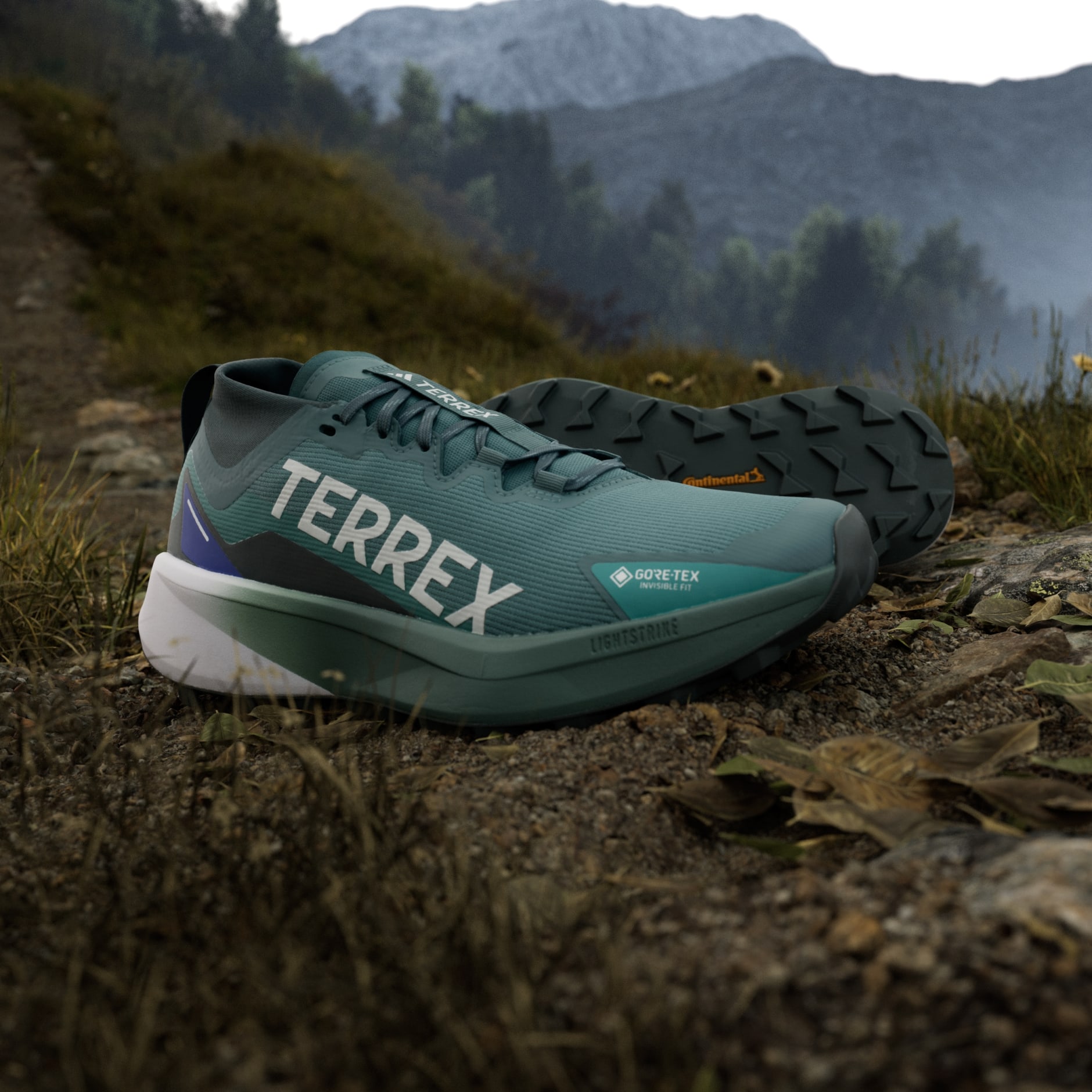 Tenisice za trail trčanje Terrex Agravic GTX