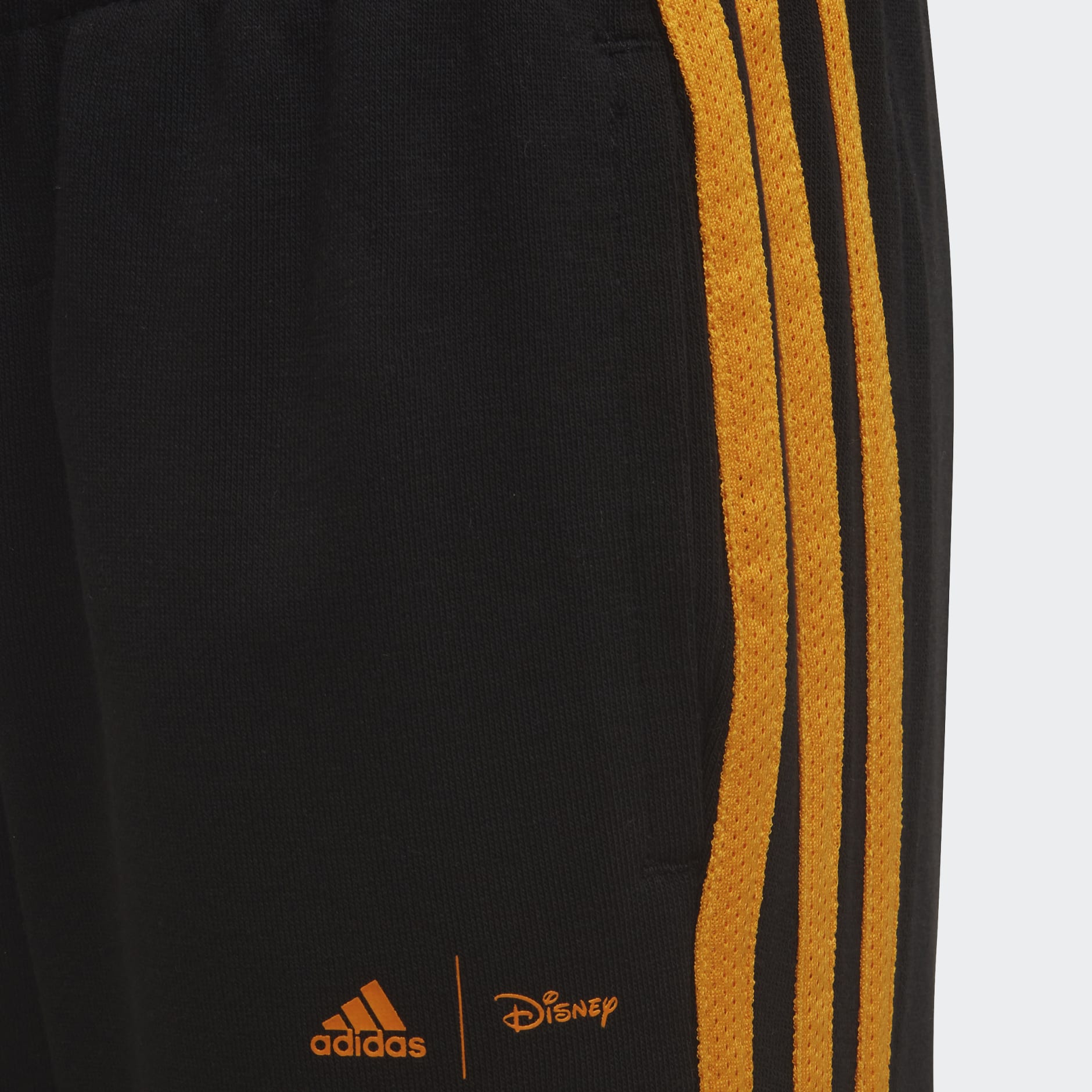 Disney Lion King Pants