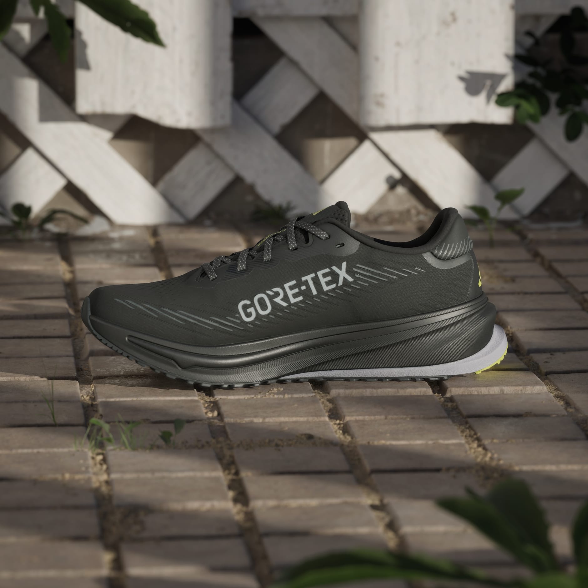 Pantofi de alergare Supernova Rise GTX