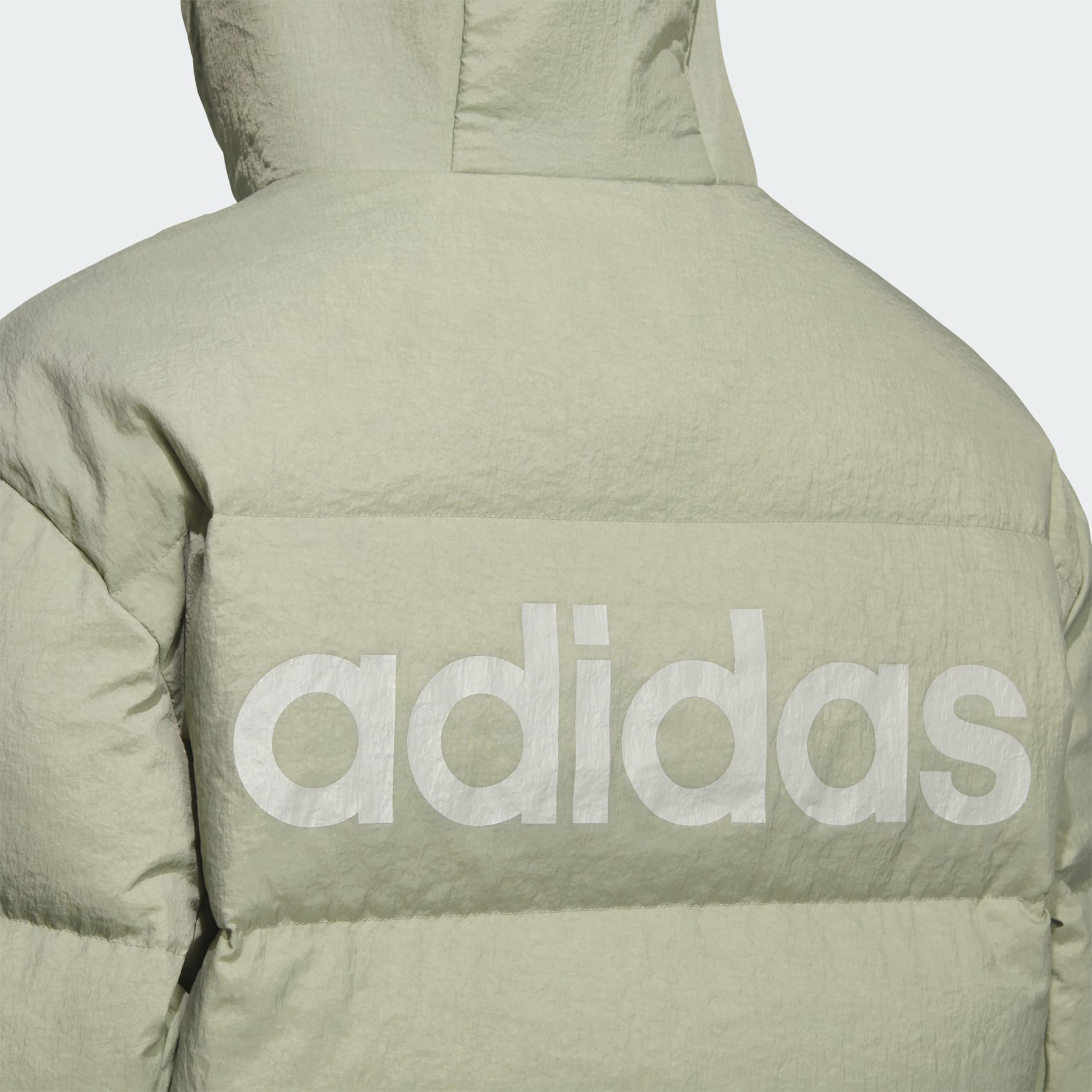 Linear Regular 羽絨