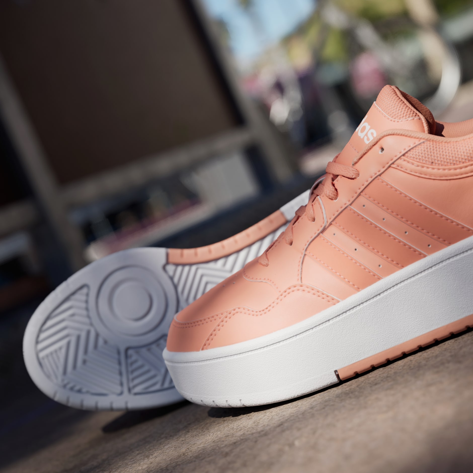 Pantofi Hoops 3.0 Bold