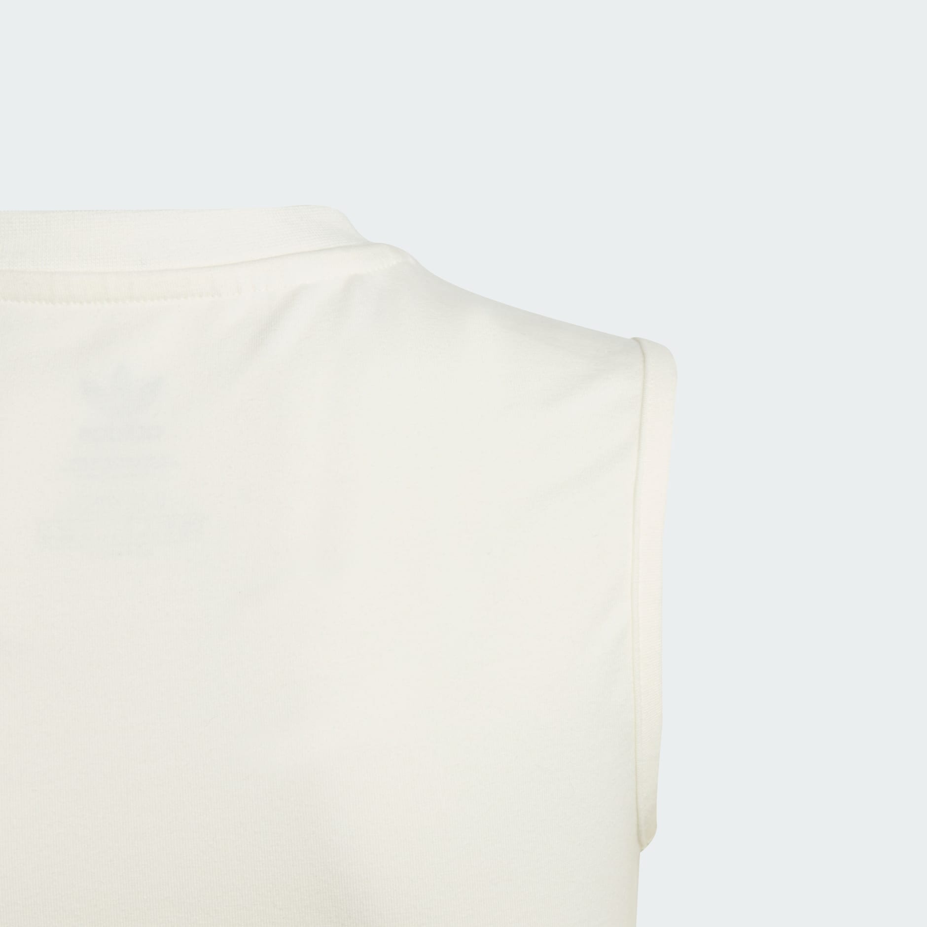 Collegiate Graphic Pack Crop Top