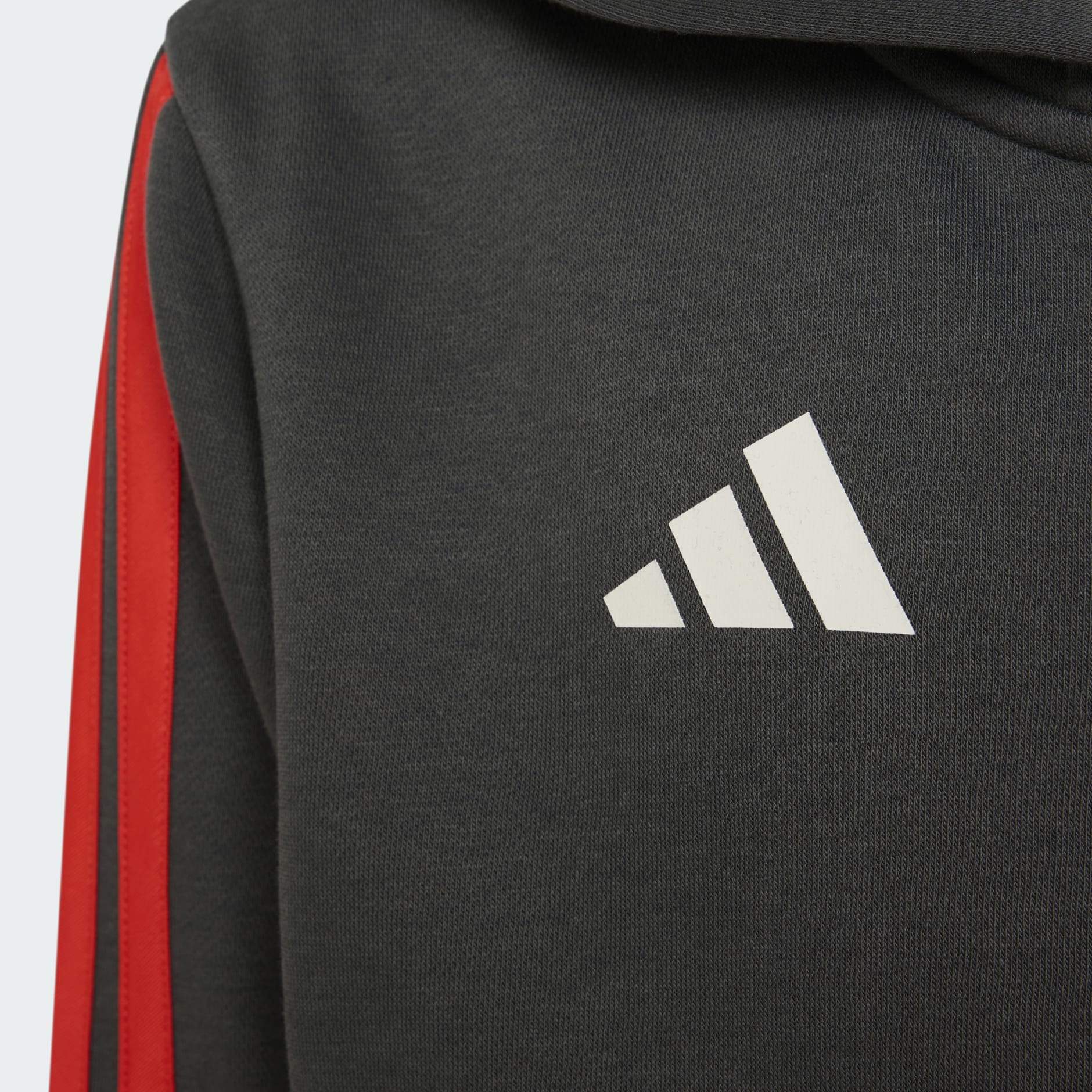 HANORAC PENTRU TINERI AUDI FORMULA ONE TEAM DNA CU FERMOAR COMPLET