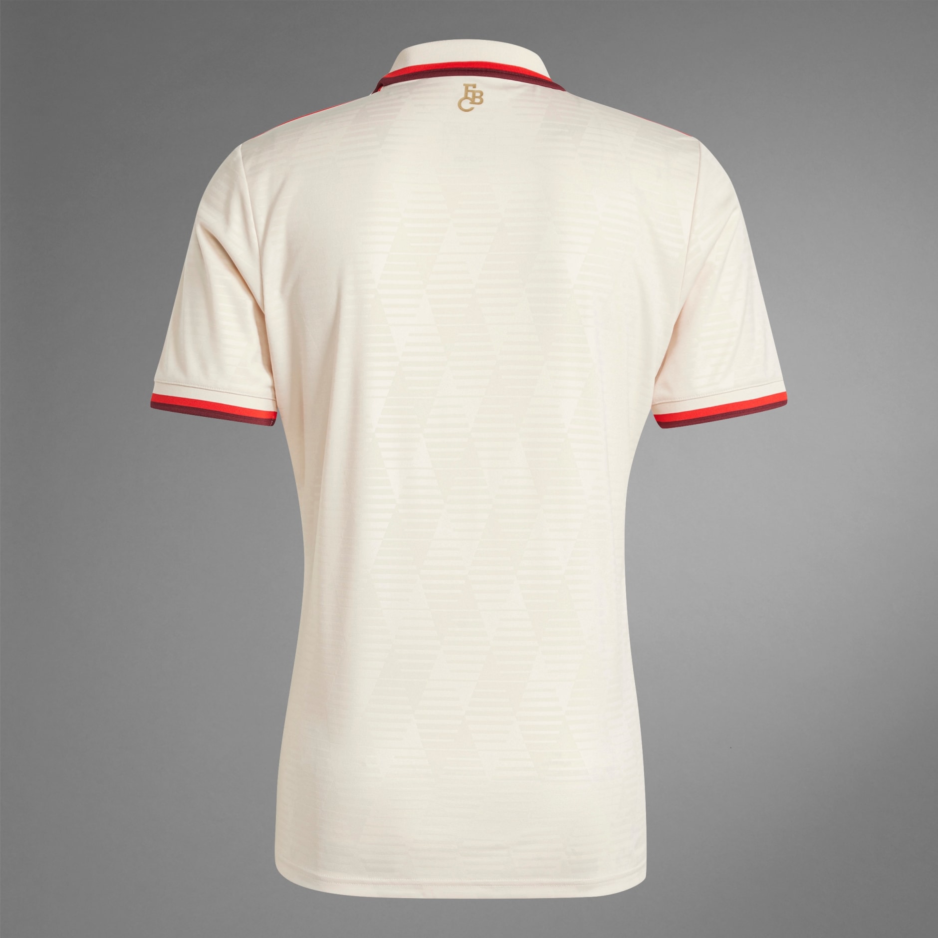 FC Bayern 24/25 Third Jersey