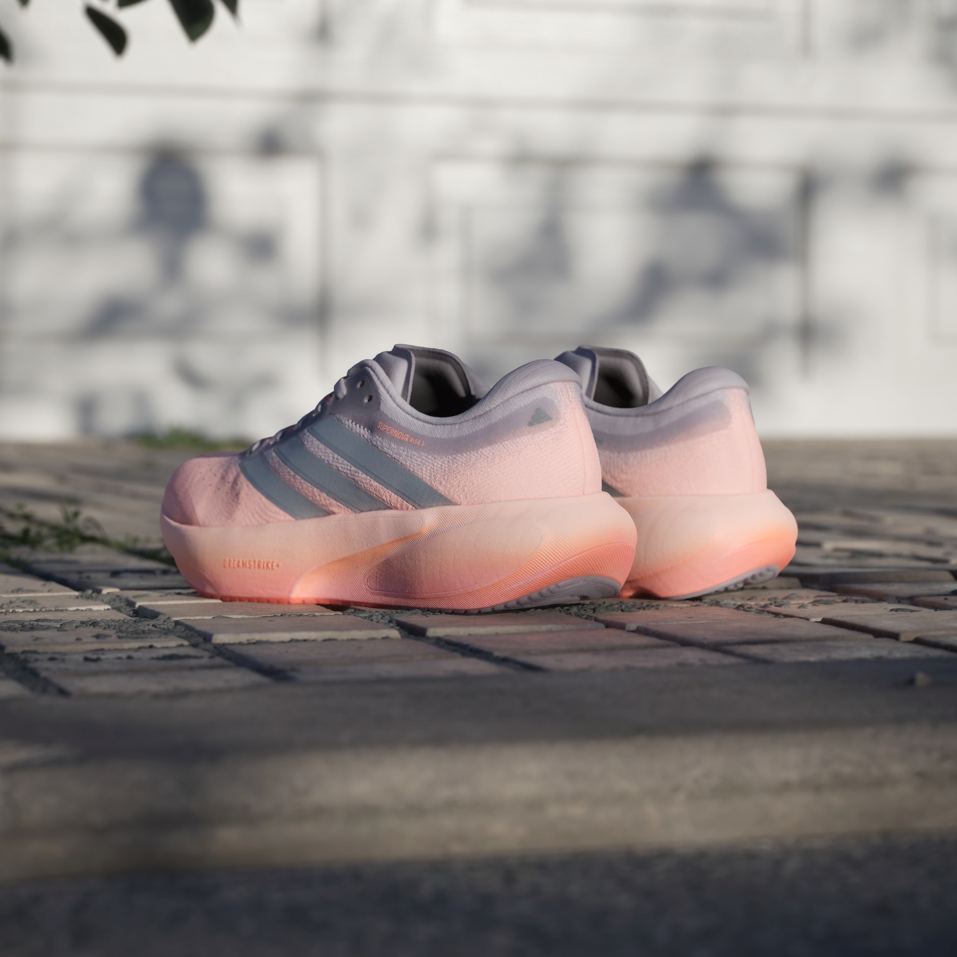 CHAUSSURE DE RUNNING SUPERNOVA RISE&nbsp;3