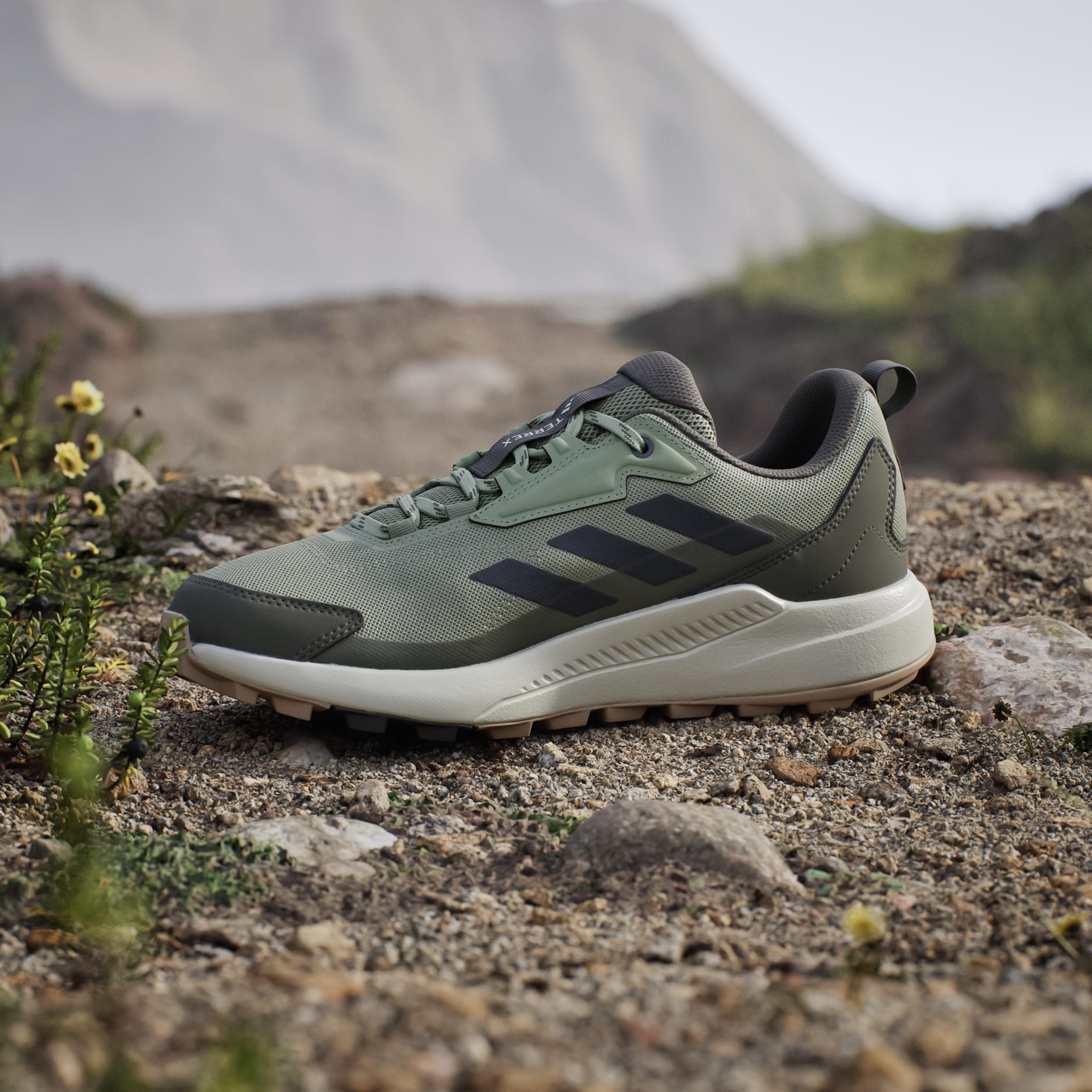 Terrex Anylander Hiking Shoes