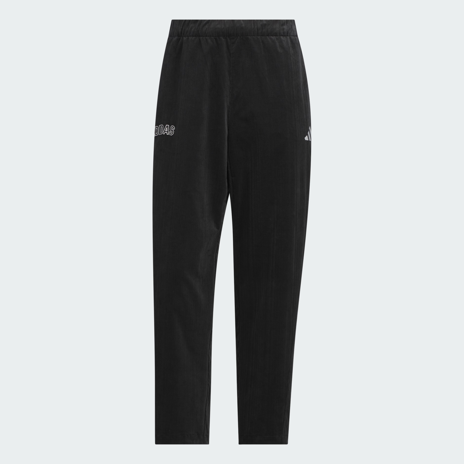 Men Regular Fit Graphic Pant