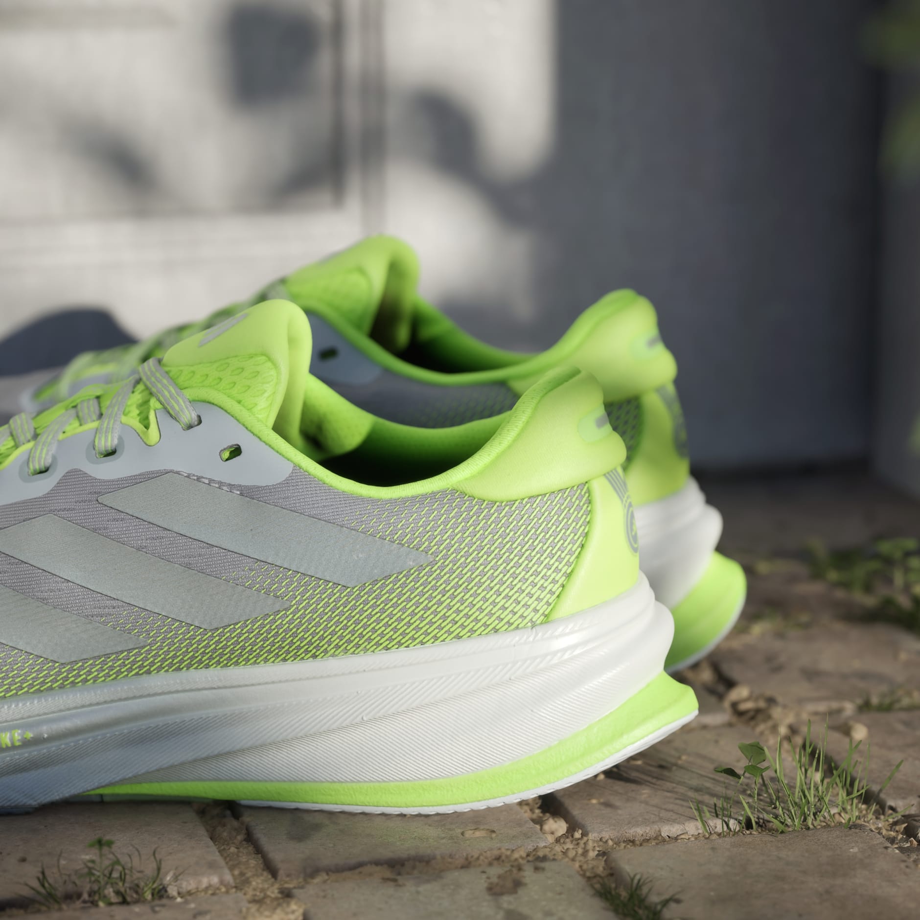 Pantofi de alergare Supernova Rise 2