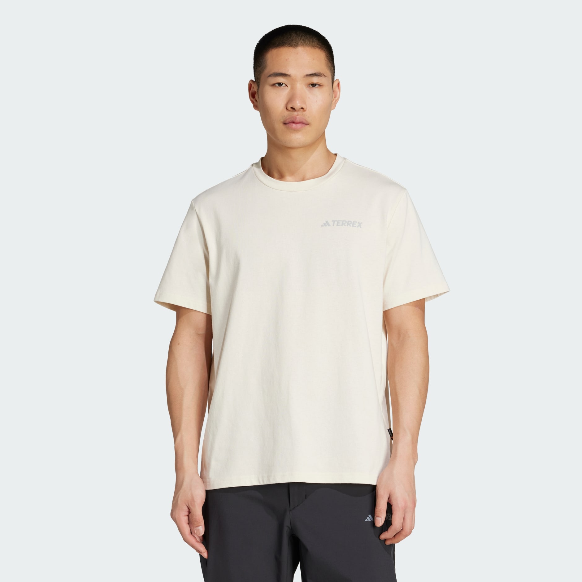 Polygiene Graphic Tee