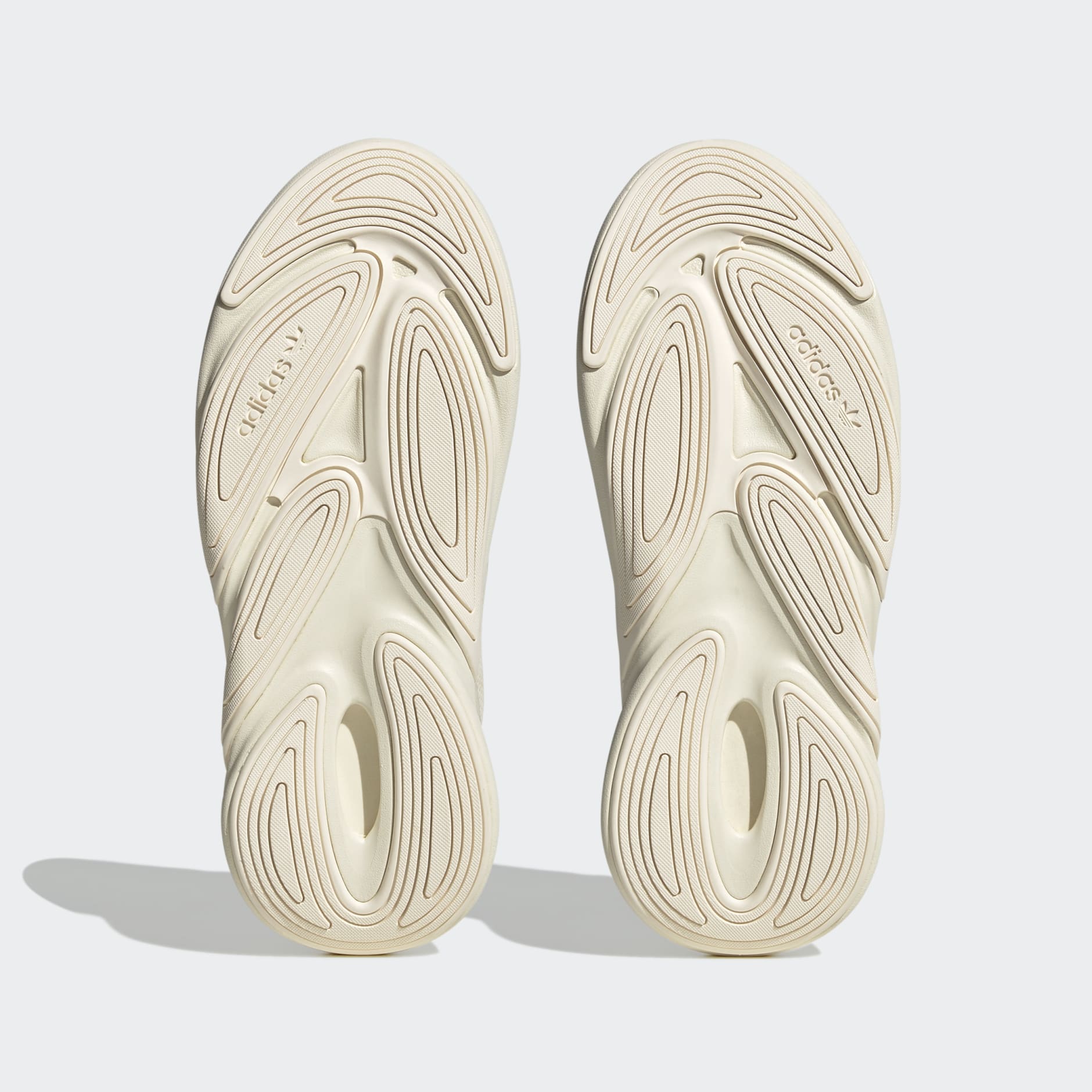 Ozelia Shoes