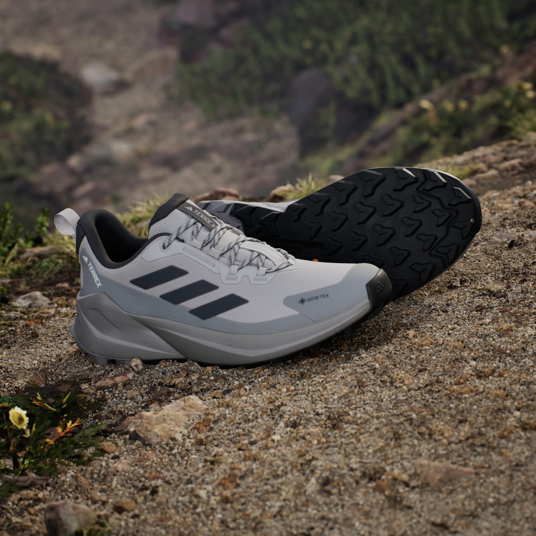 Pantofi de drumeție Terrex Trailmaker 2 GORE-TEX