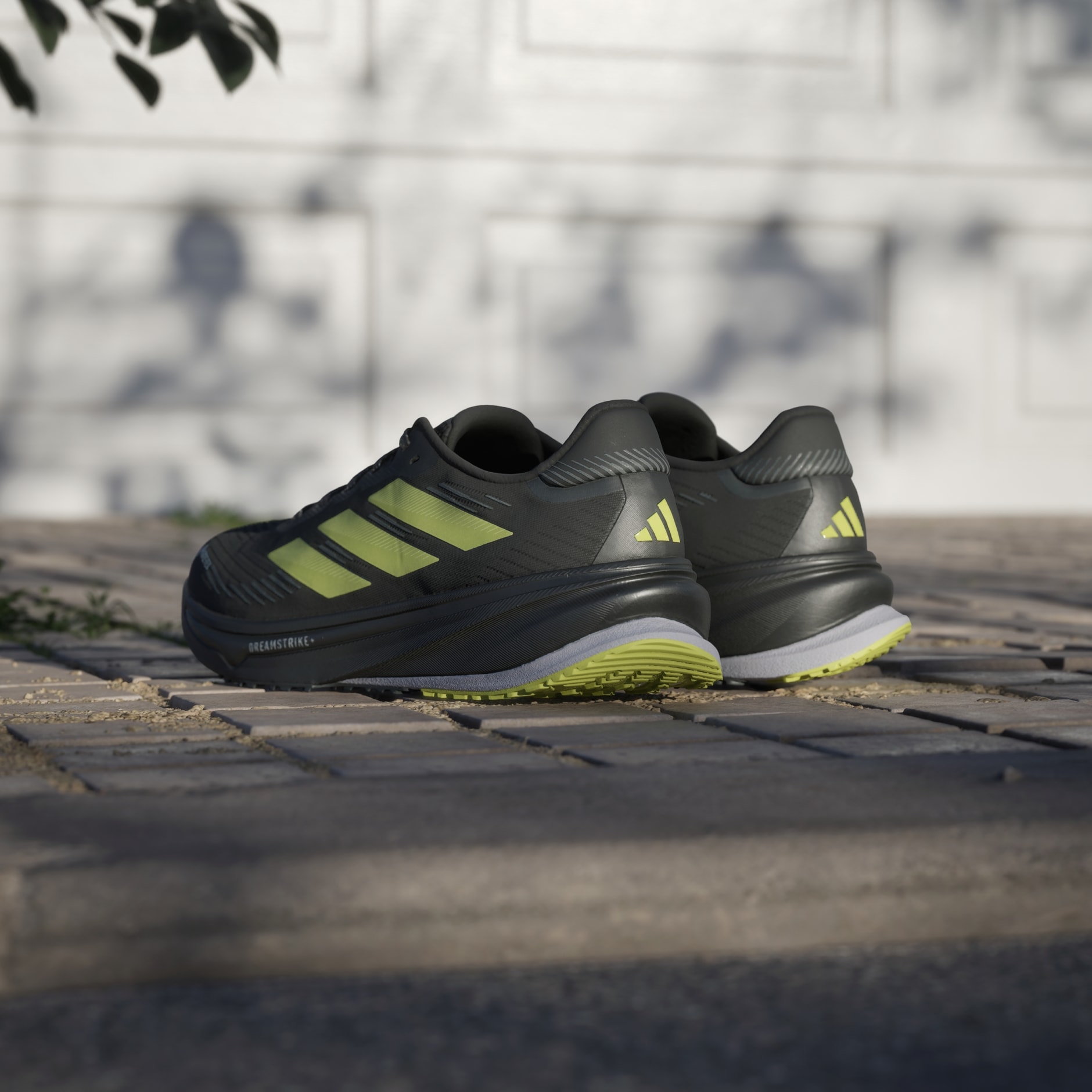 Pantofi de alergare Supernova Rise GTX