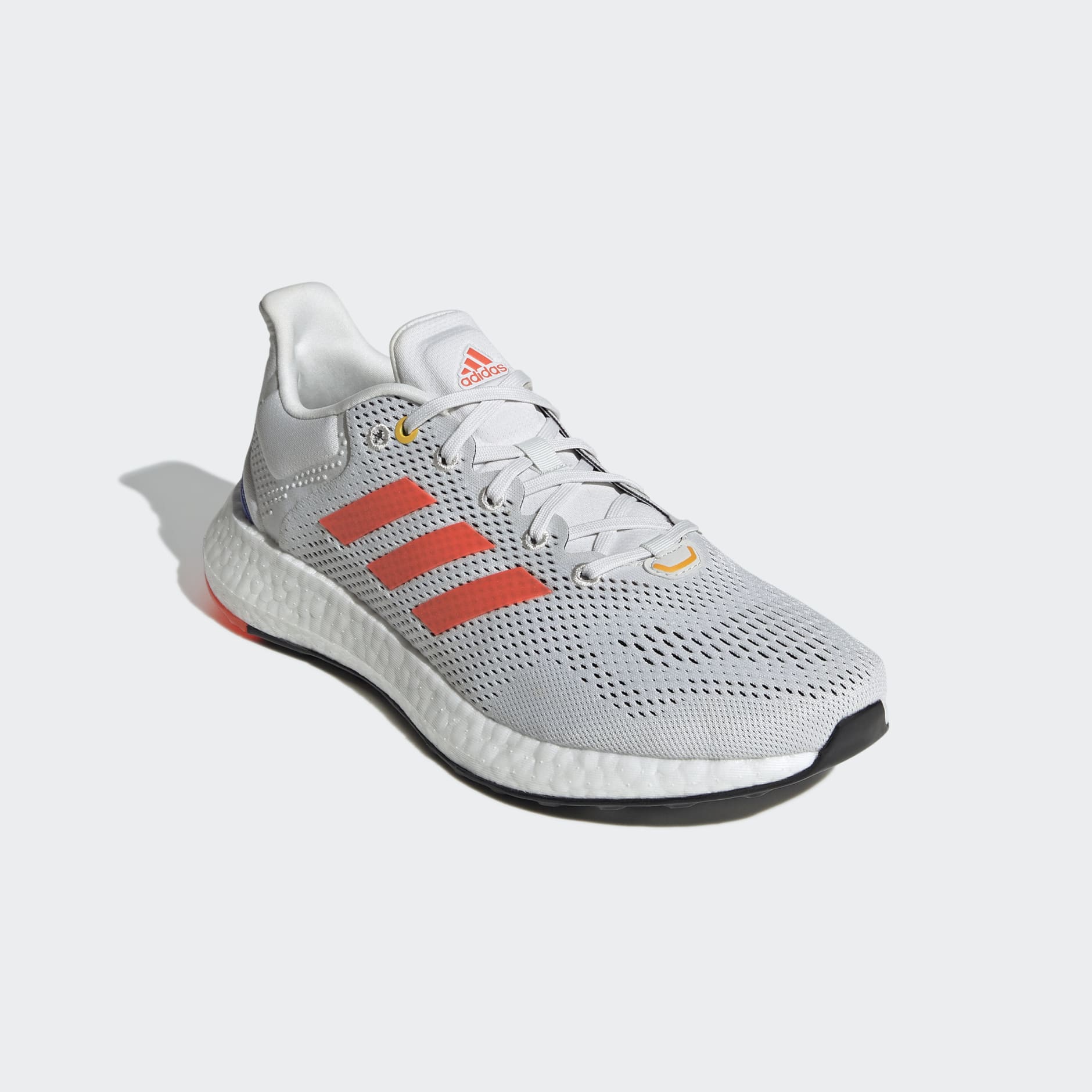 pureboost 2021