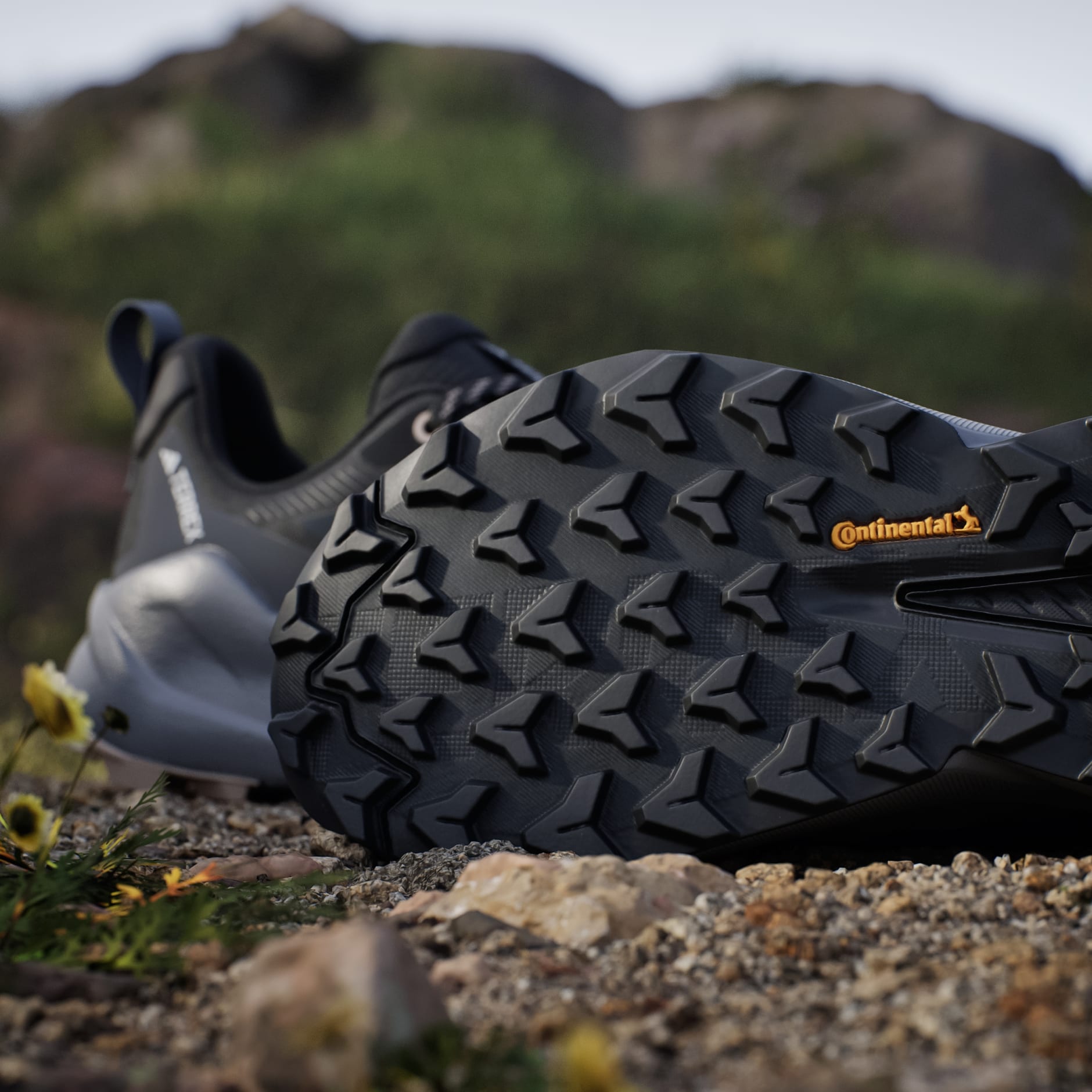 Pantofi de drumeție Terrex Trailmaker 2.0