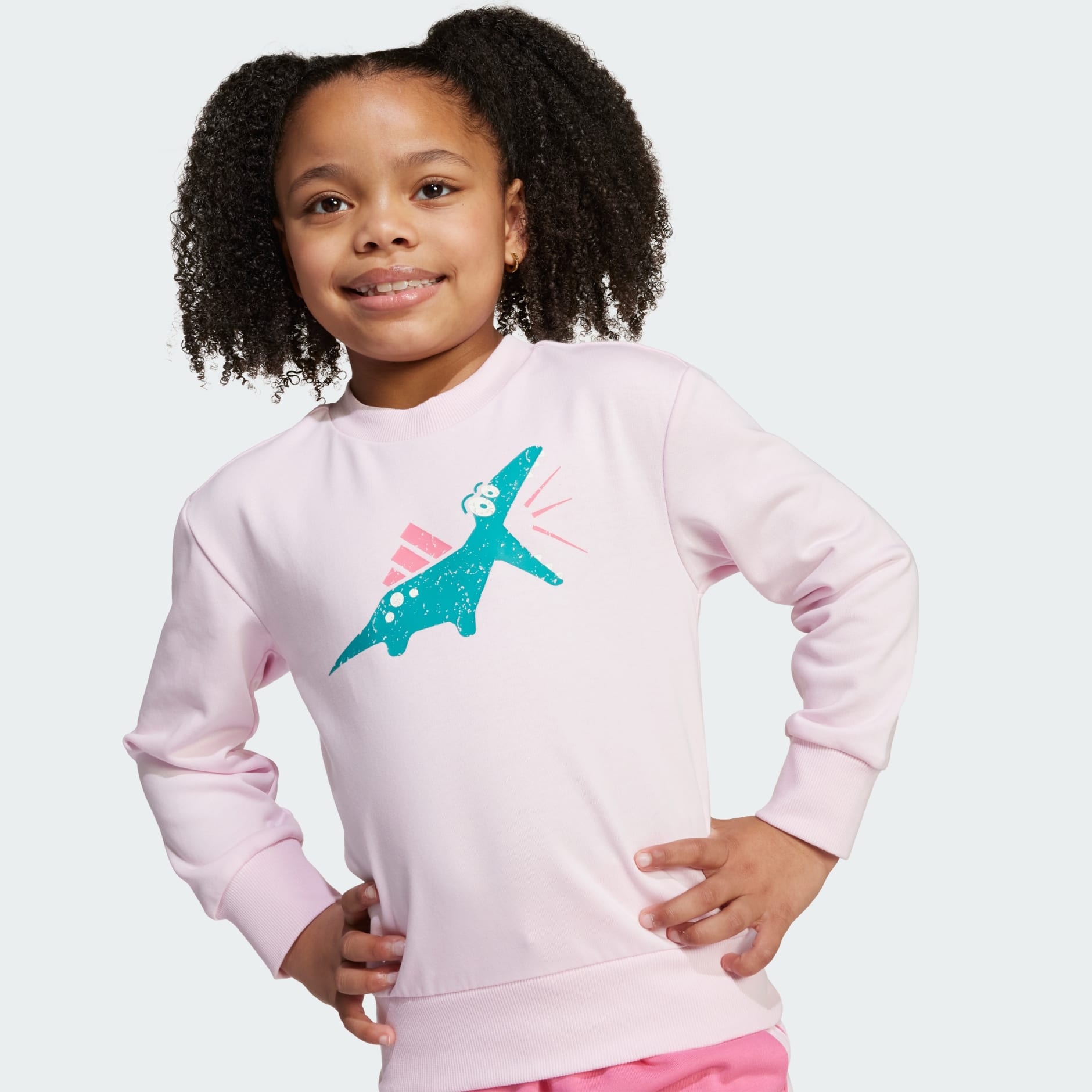 Seasonal Essentials Adiraptor Fleece Jogger Set Little Kids