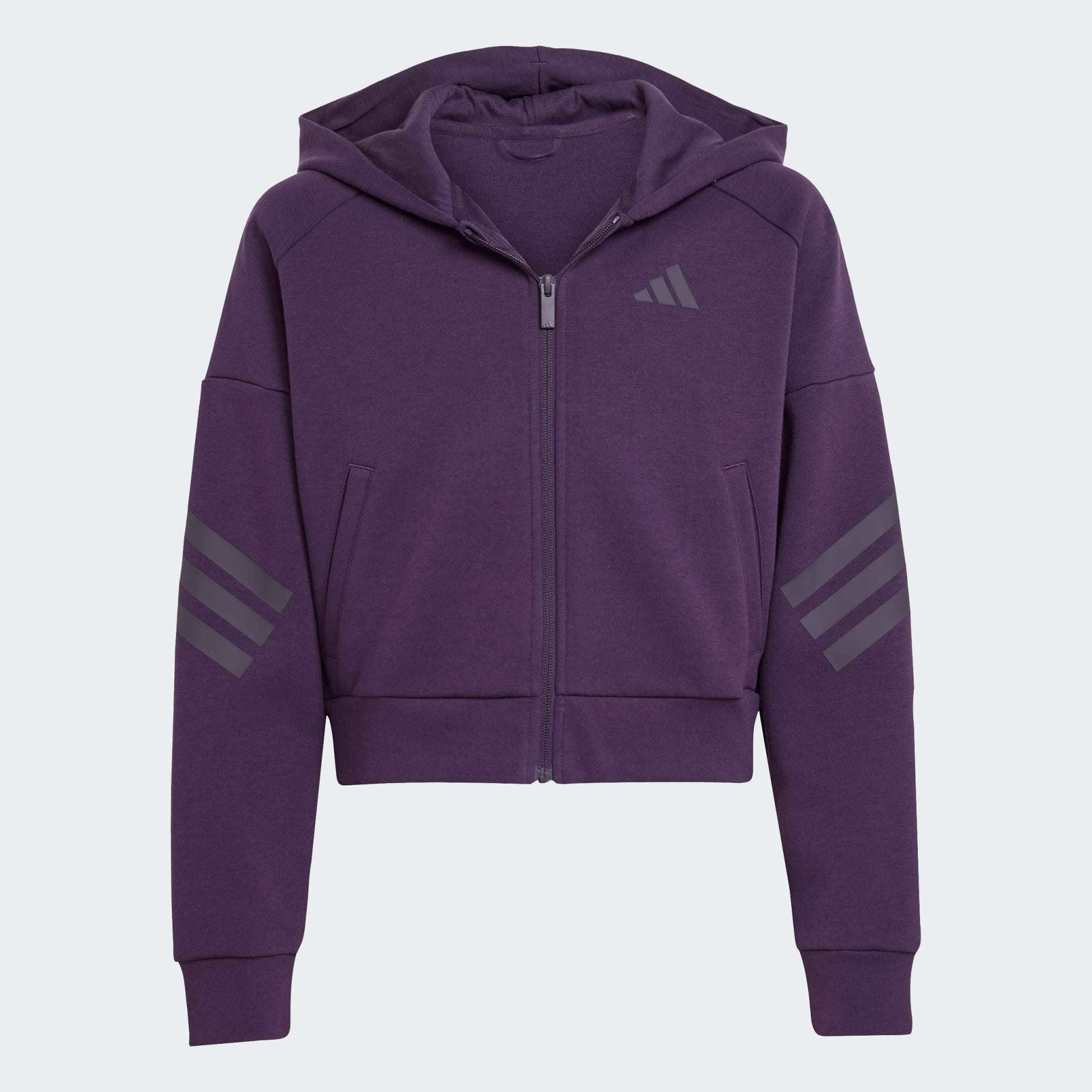 Veste de surv&ecirc;tement zipp&eacute;e &agrave; capuche 3 bandes Future Icons Enfants