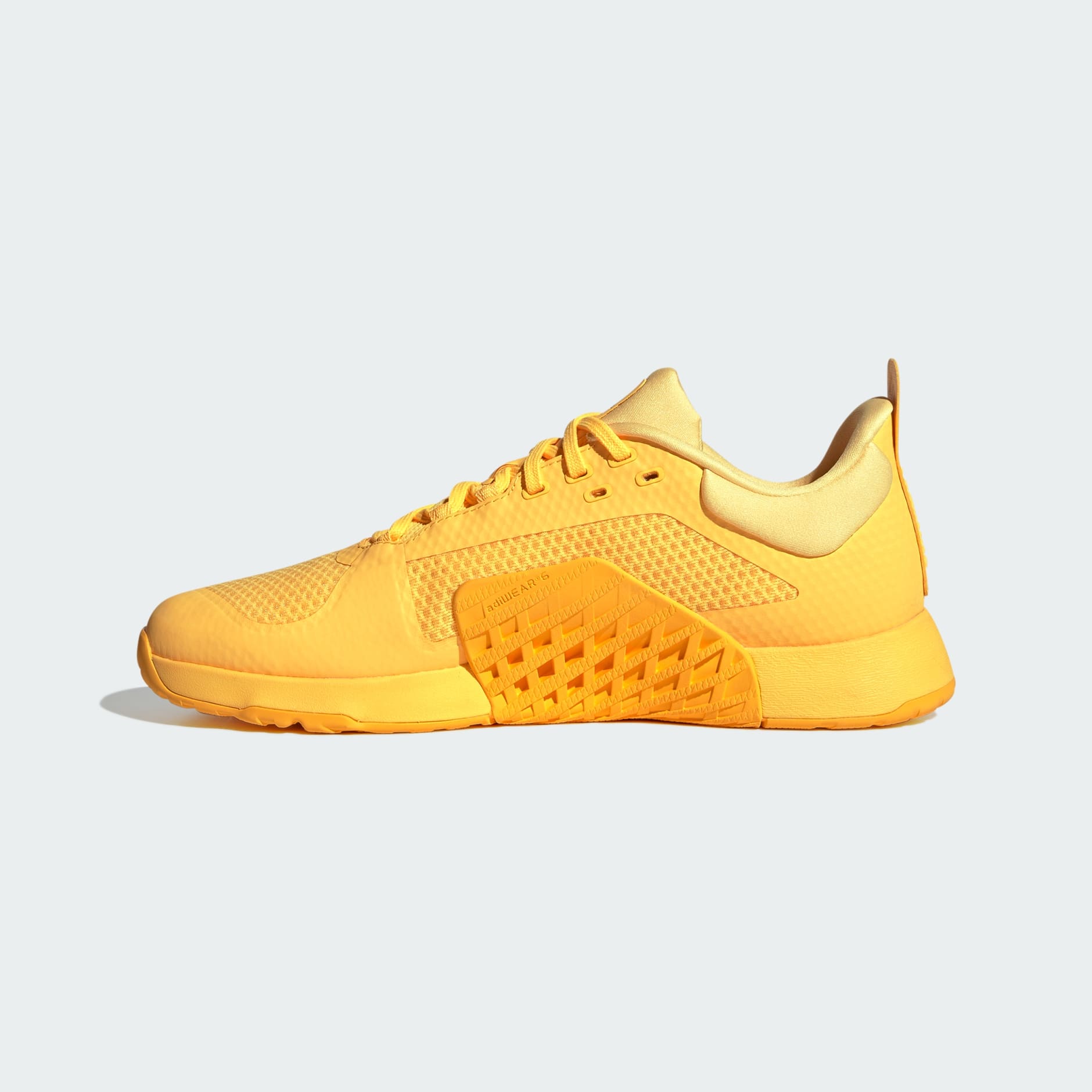 Dropset 2 Trainer