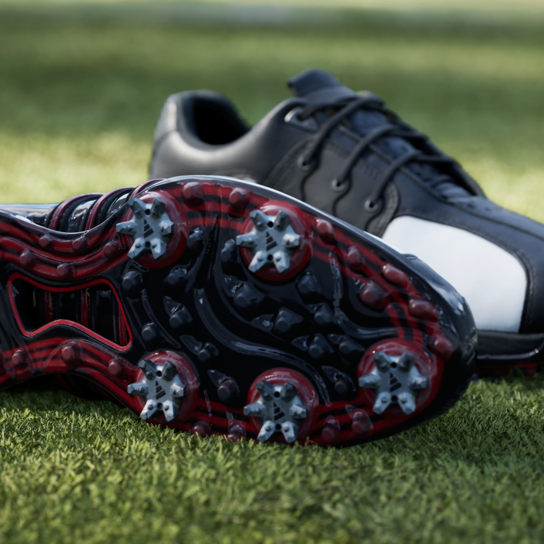 Tour360 20th Anniversary Golf Shoes