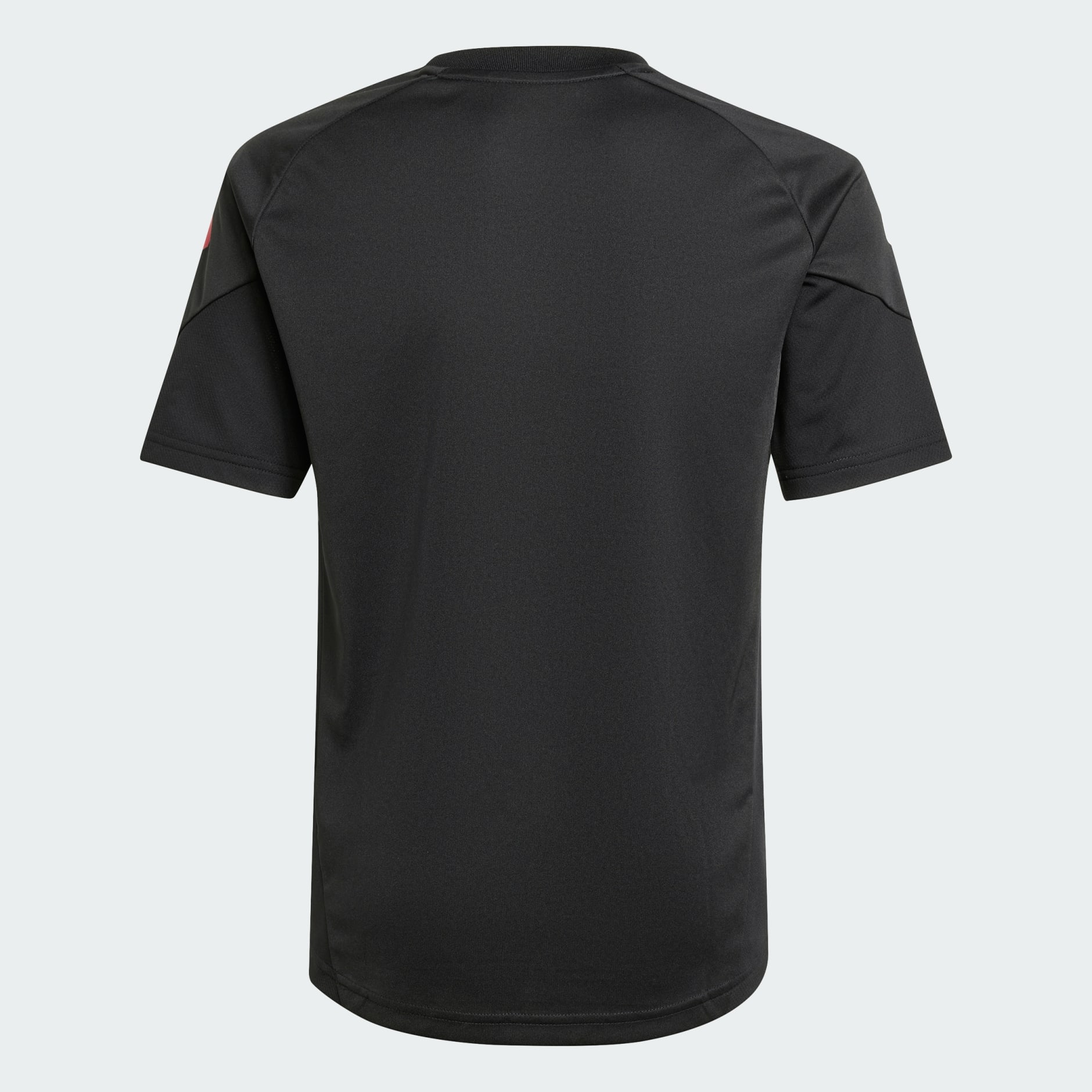 Dječji dres Ajax Amsterdam Tiro 25 Competition Training