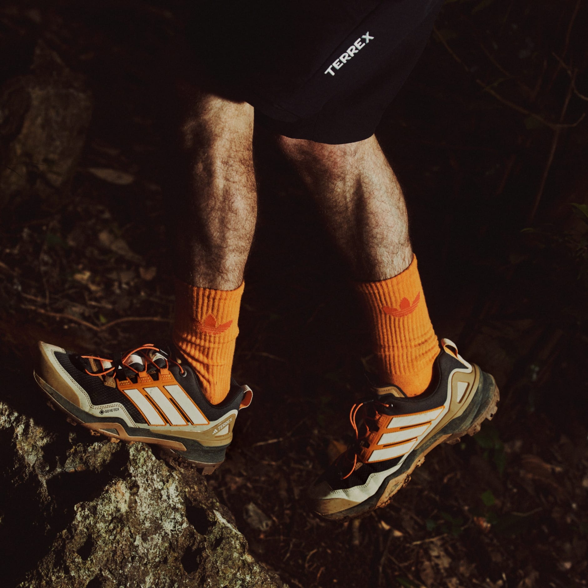 Terrex Skychaser GORE-TEX Hiking Shoes