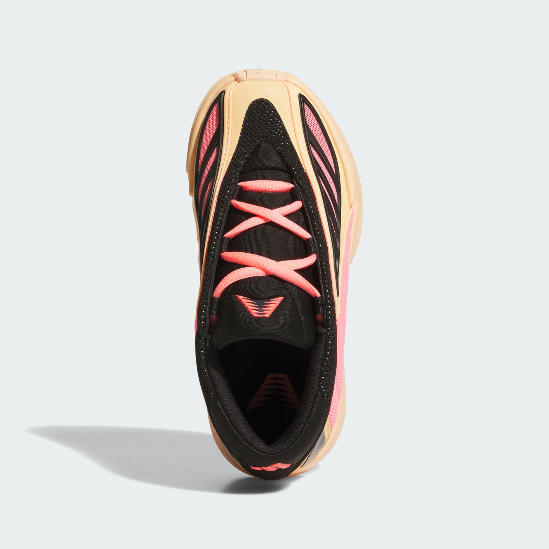 Anthony Edwards 2 Shoes Kids