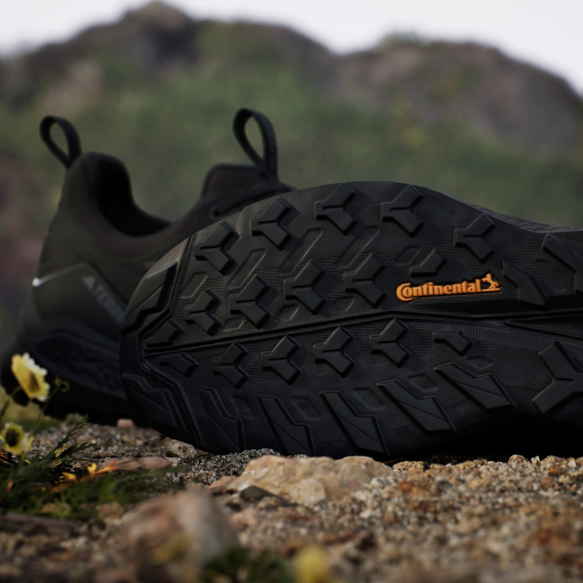 Tenis de Senderismo Terrex Free Hiker 2.0 Low Gore-Tex