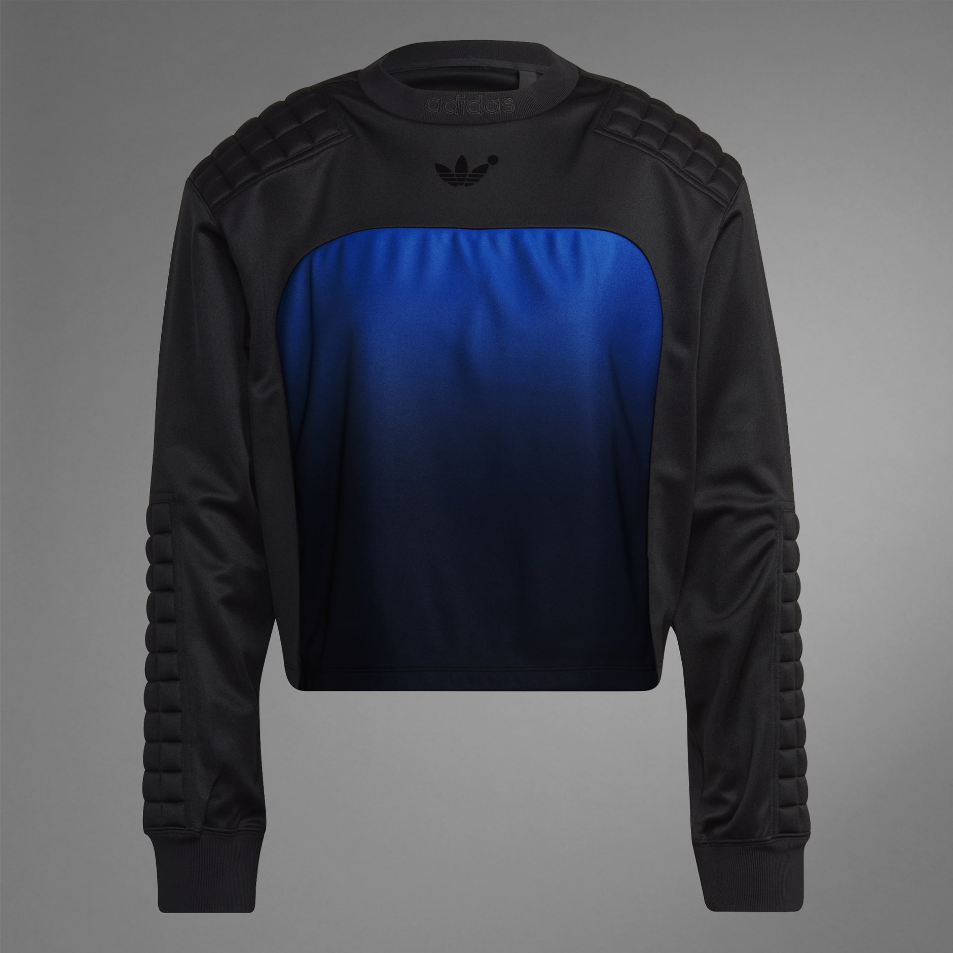 Blue Version Goalkeeper Top