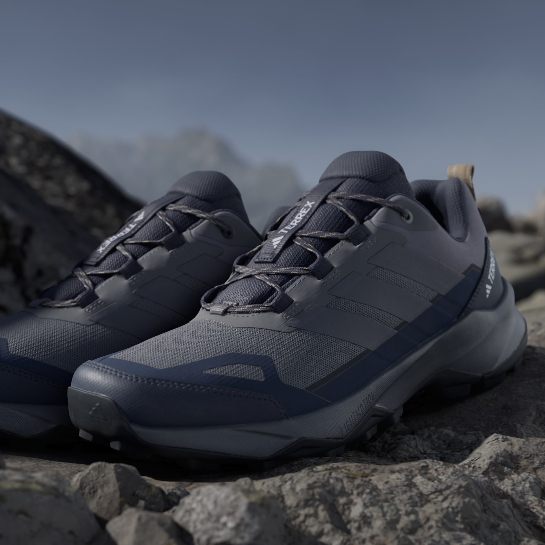 Terrex Skychaser Ax5 Hiking Shoes