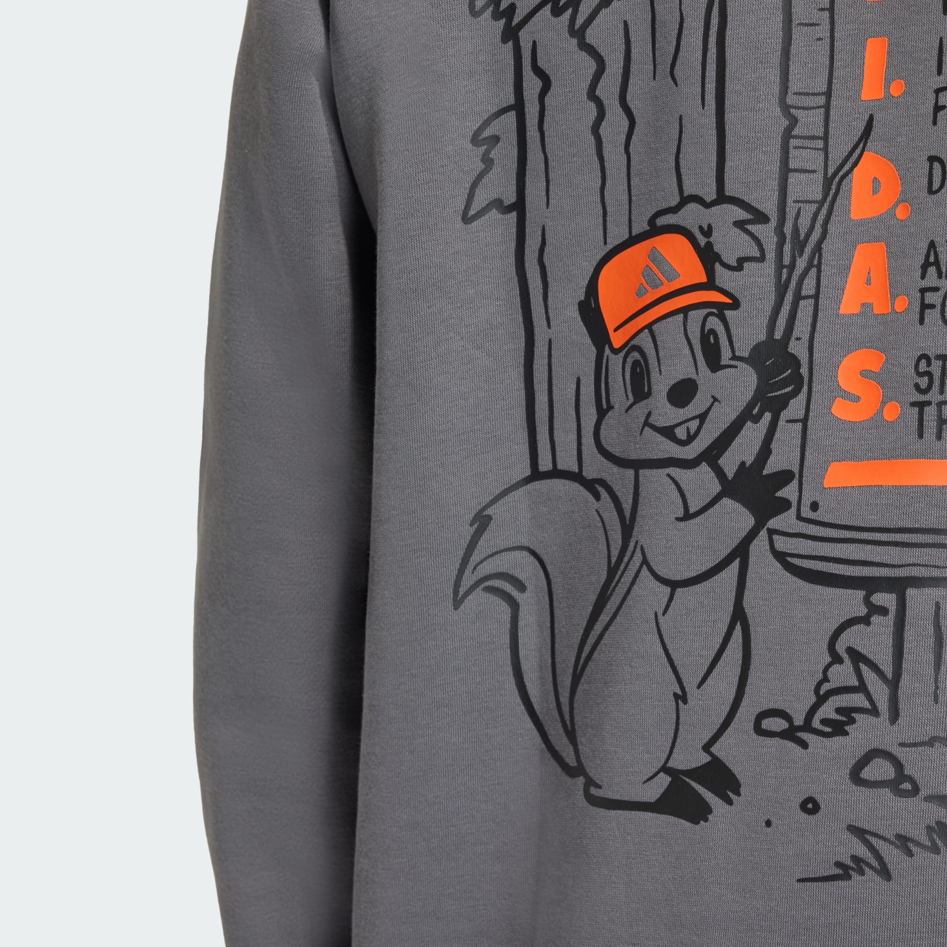 TERREX TRAIL RULES GRAPHIC CREW Sweatshirt