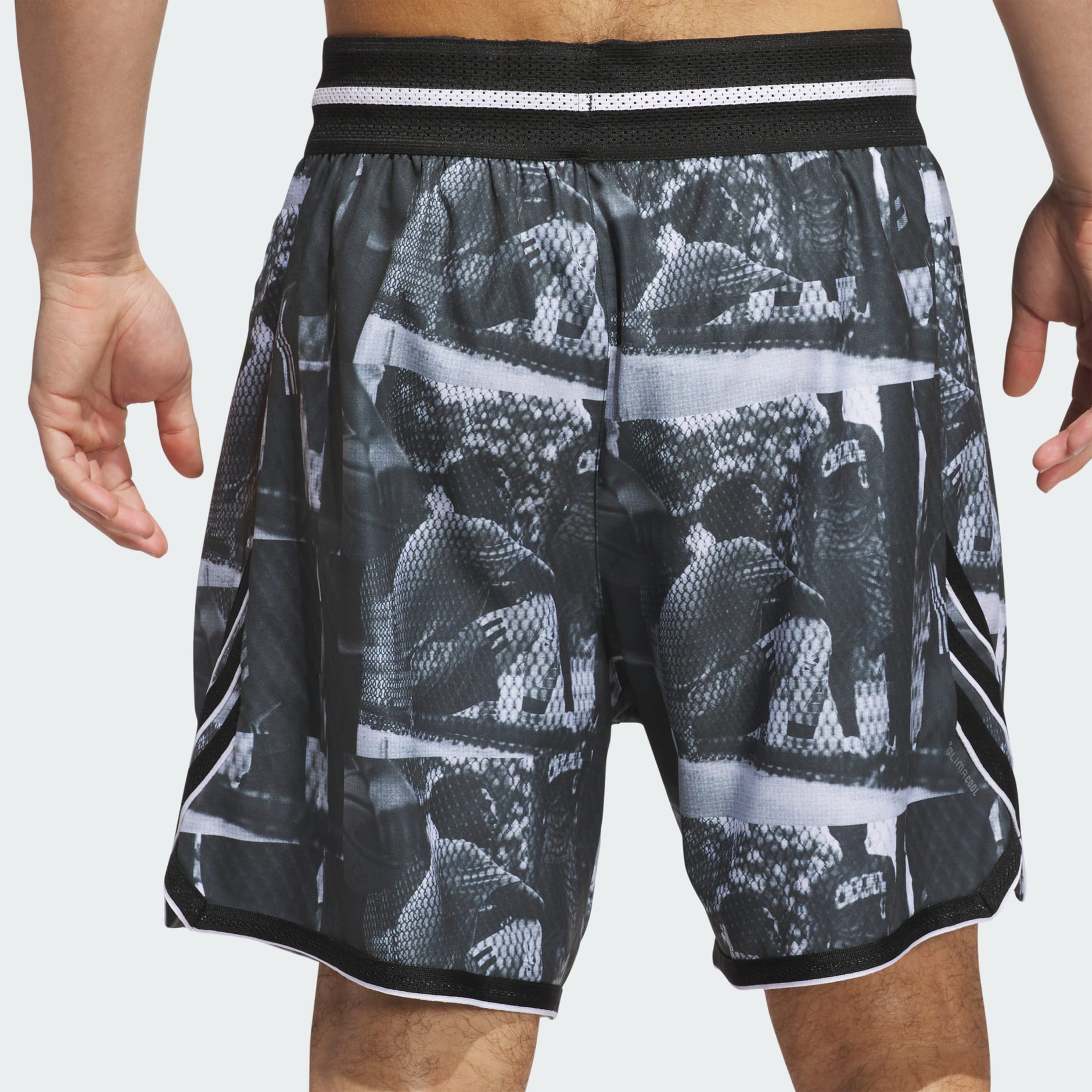 Pantaloni scurți adidas Crazy Lite AOP