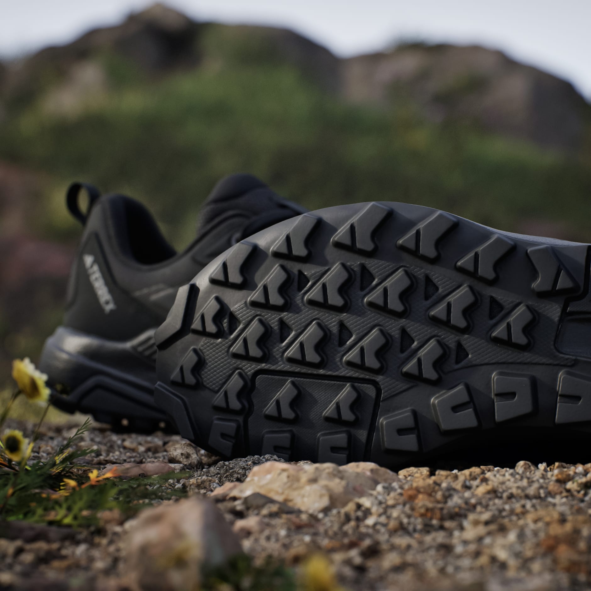 Chaussure de randonn&eacute;e Terrex Anylander